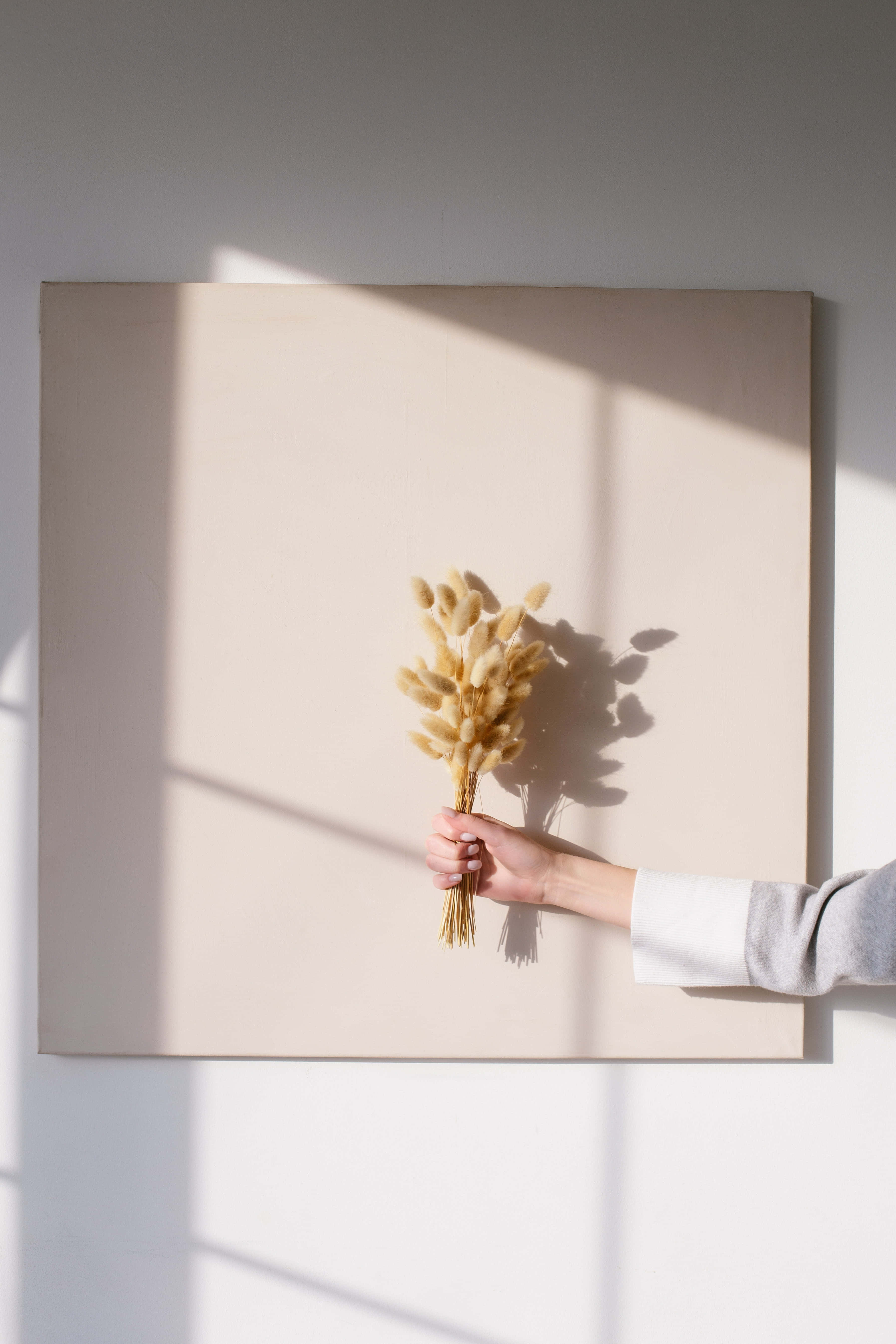 Blød guld æstetisk beige baggrund Wallpapers