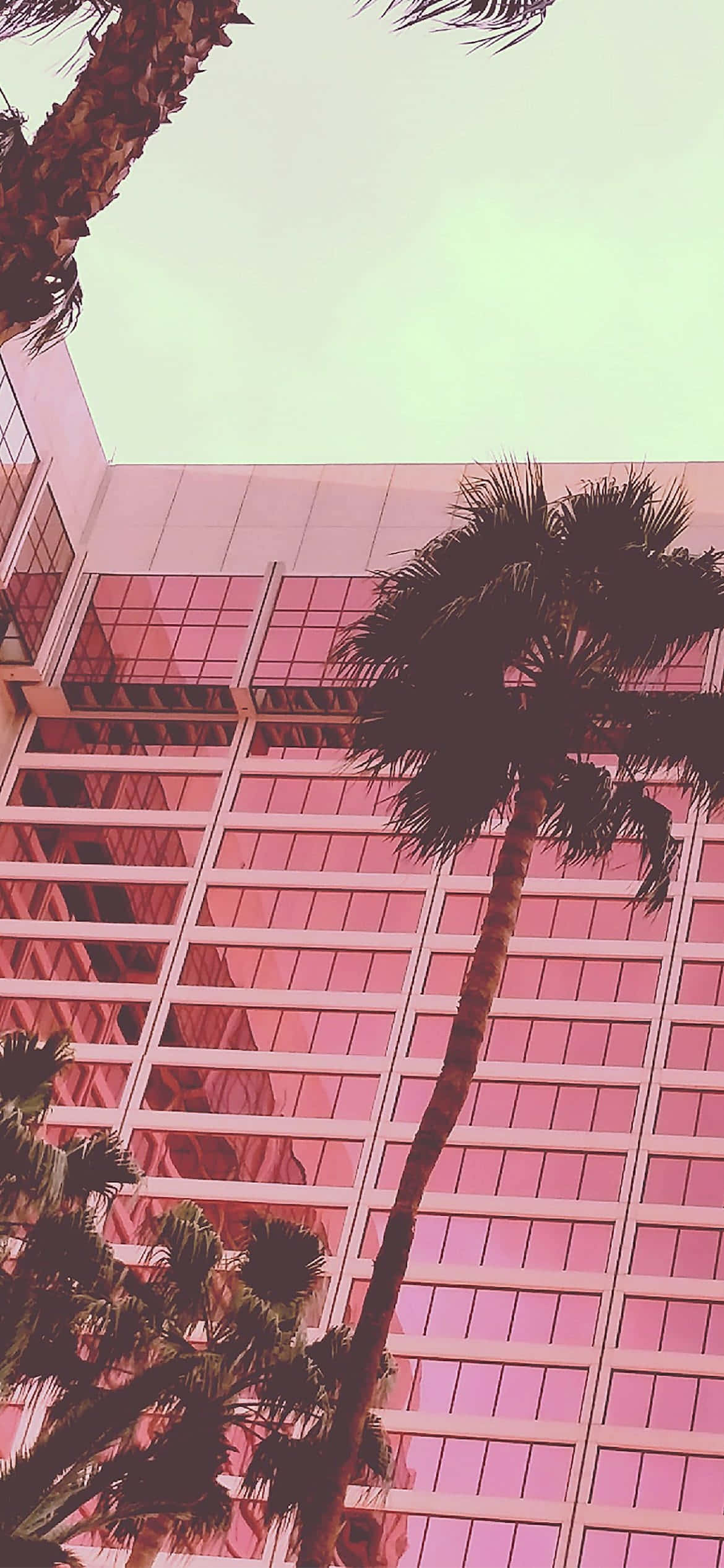Blød og sød æstetisk babyrosa Wallpapers