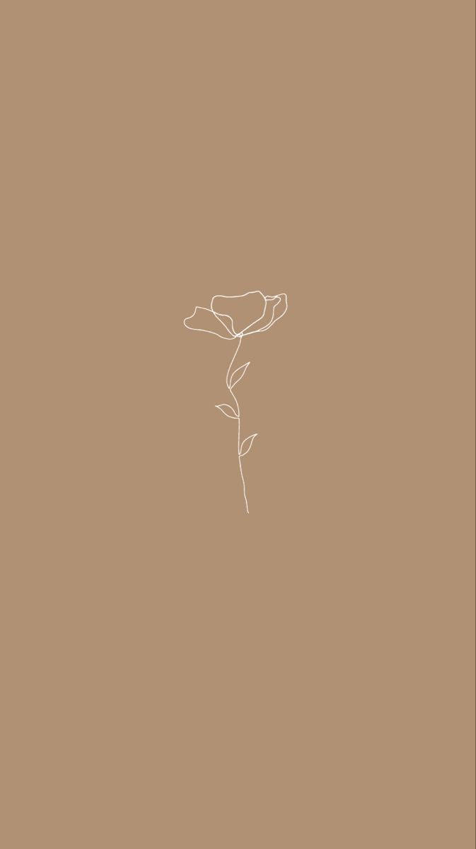 Blomst Beige Æstetisk Telefon Wallpapers