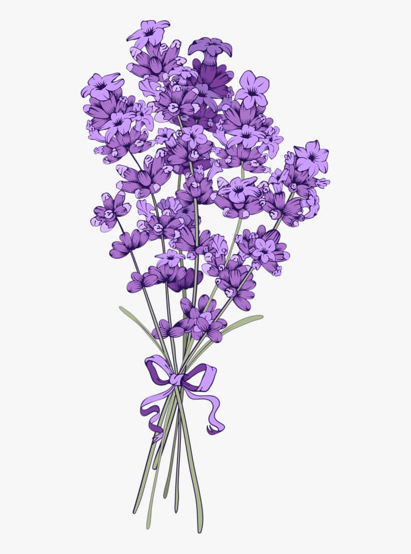 Blomsterbaggrund Wallpapers