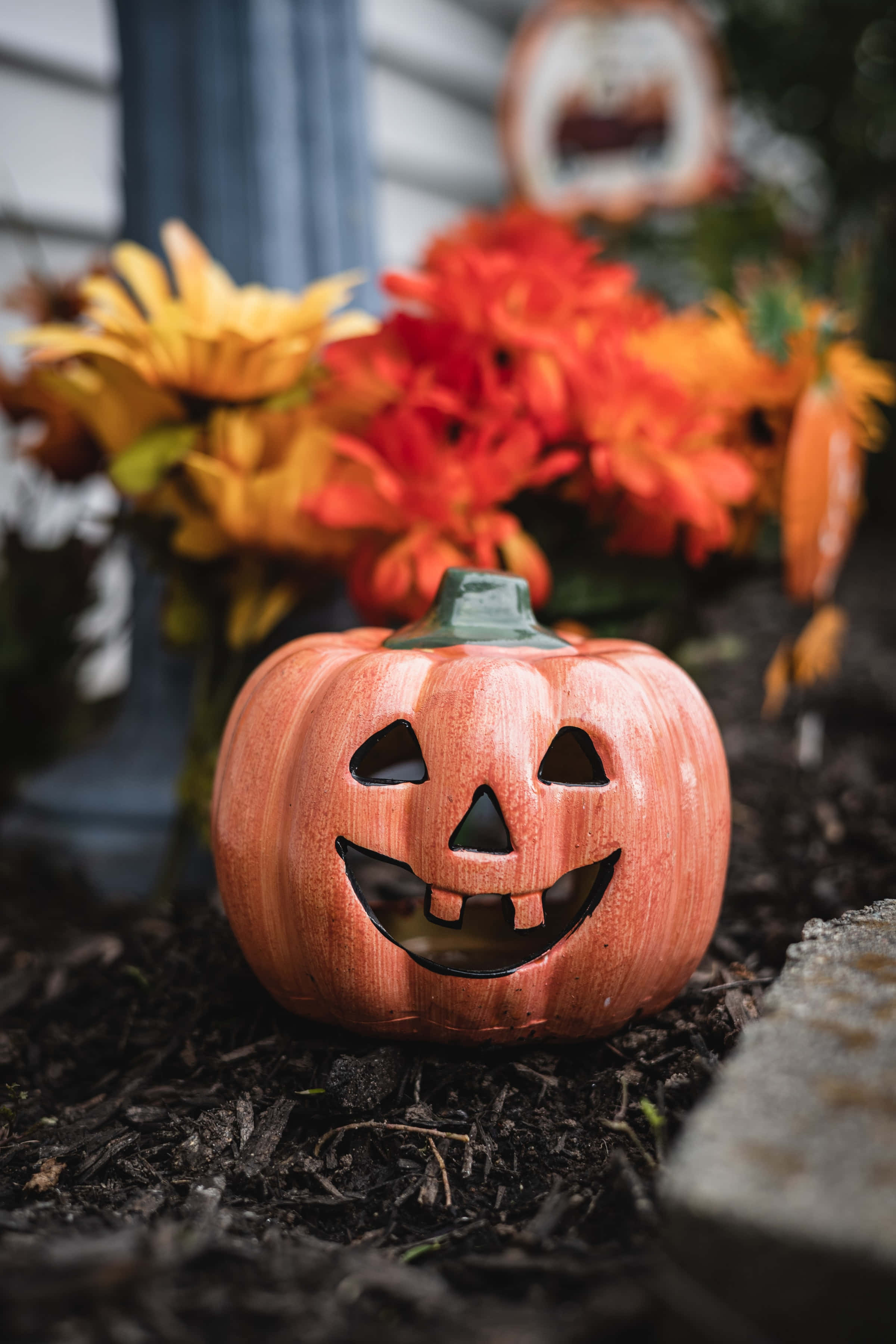 Blomstergræskar Halloween baggrund i høj opløsning Wallpapers