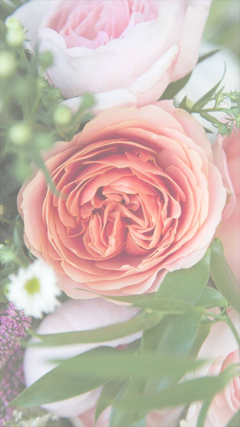 Blomstrende blomst iPhone Wallpapers