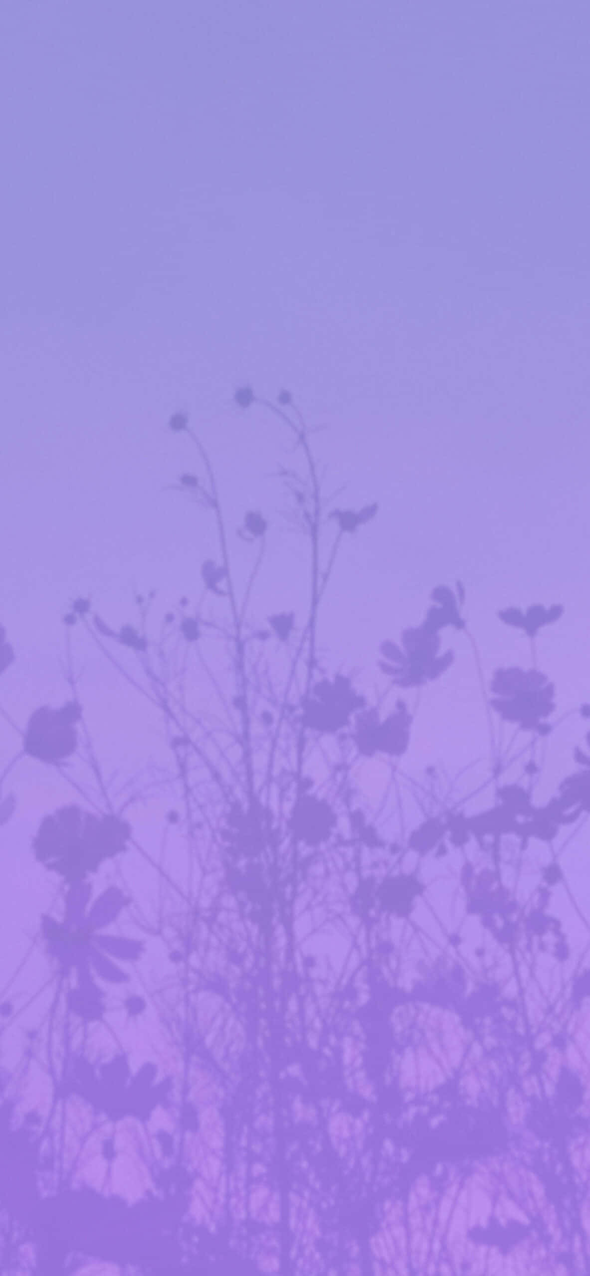 Blomstrende i æstetisk lilla Wallpapers