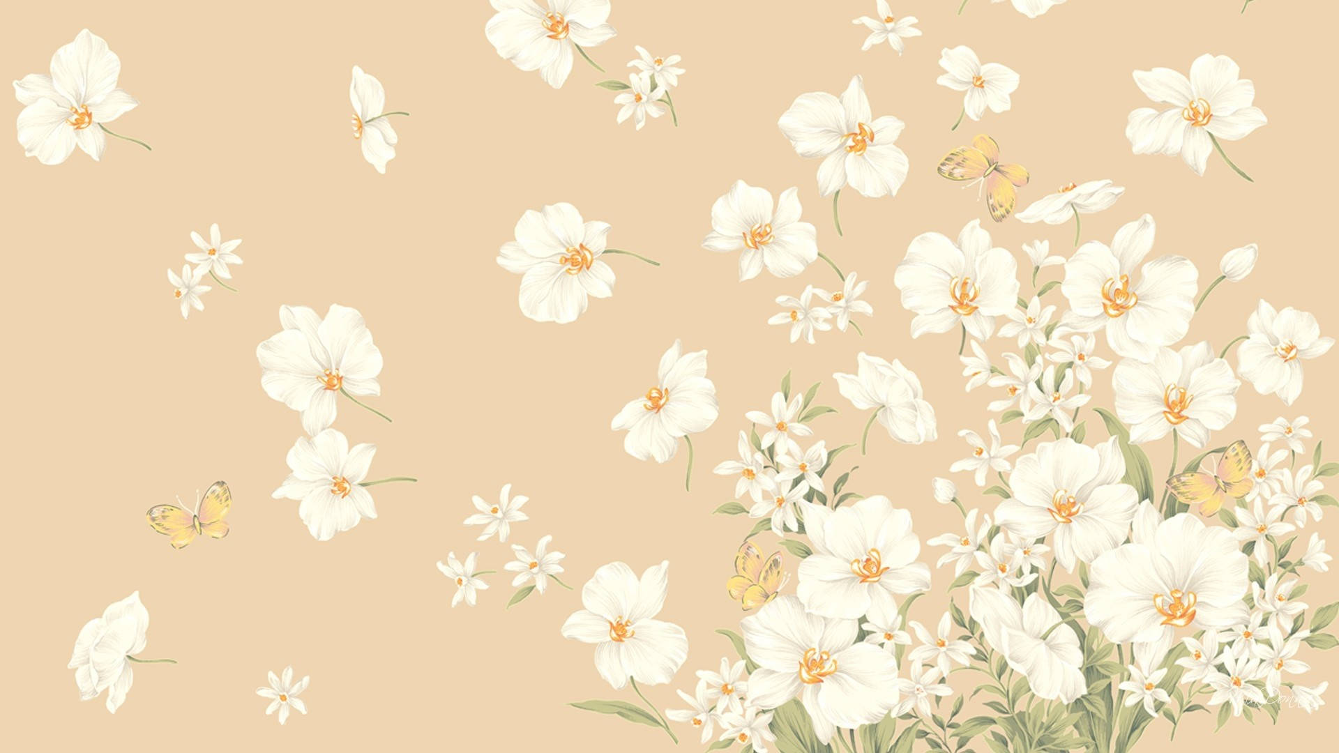 Blomstret Beige Æstetisk Laptop Wallpapers