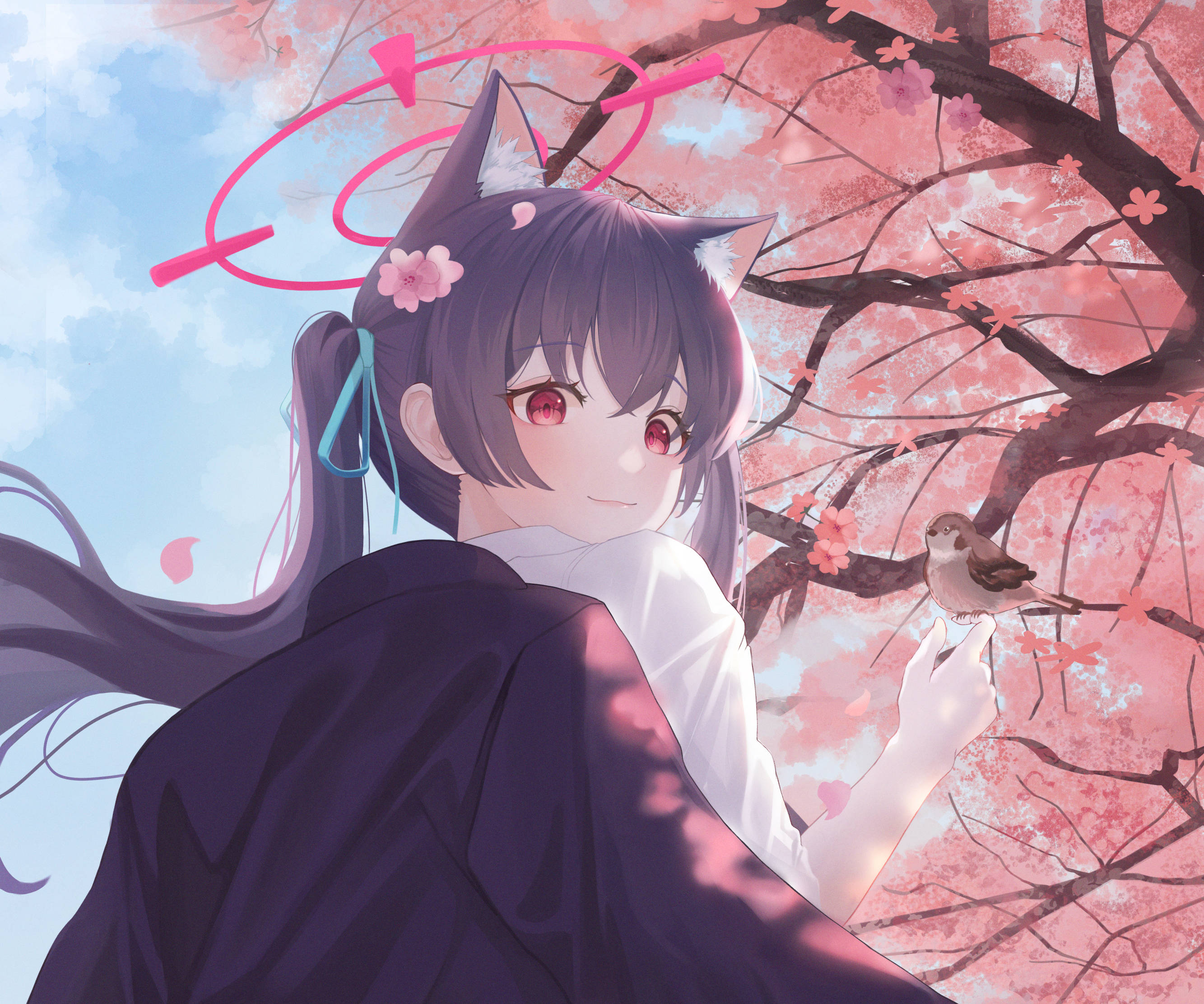 Blue Archive Kuromi Serika Kirsebærblomst Wallpapers