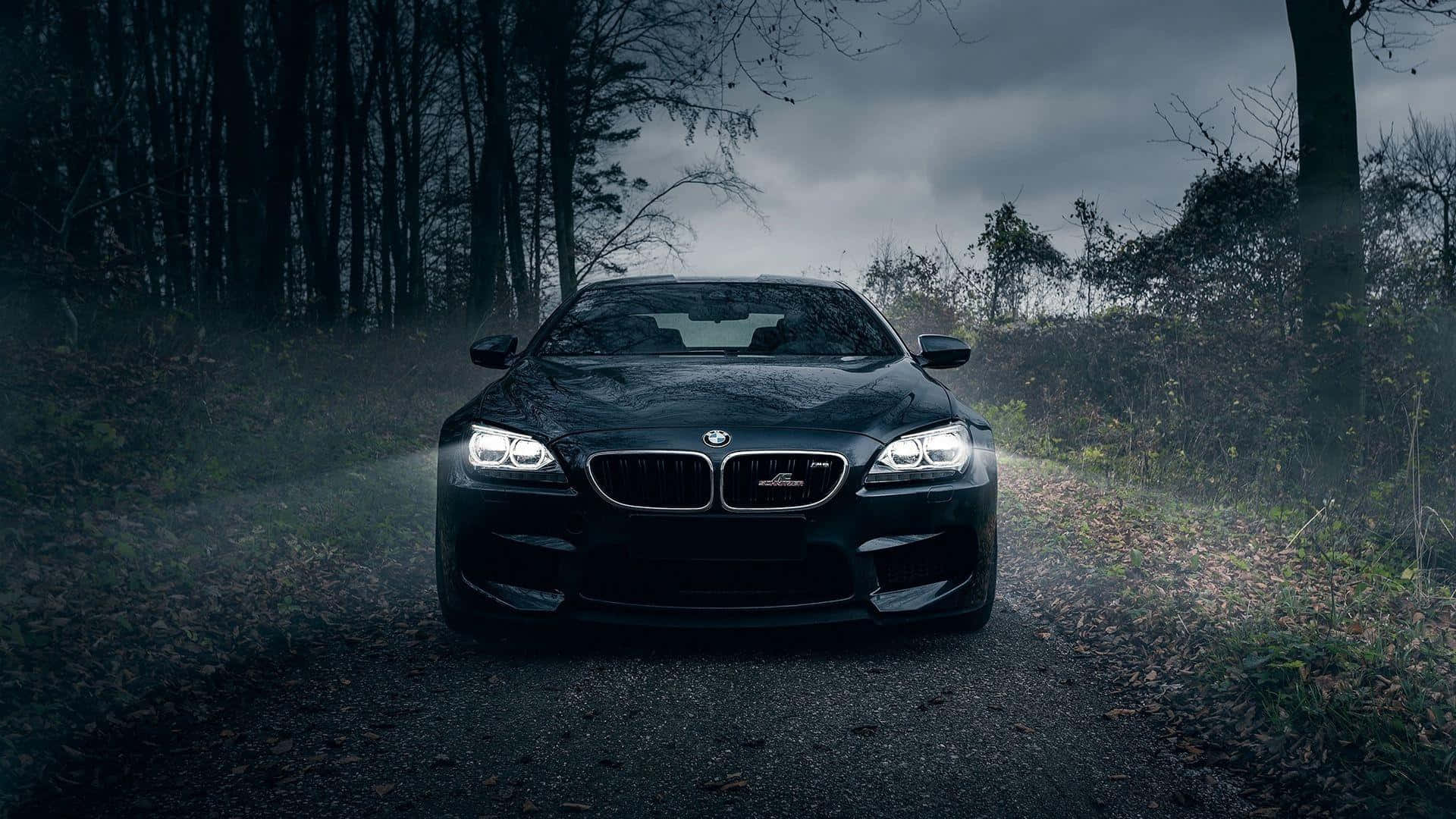 BMW 1920x1080 Kørsel Natteskov Wallpapers