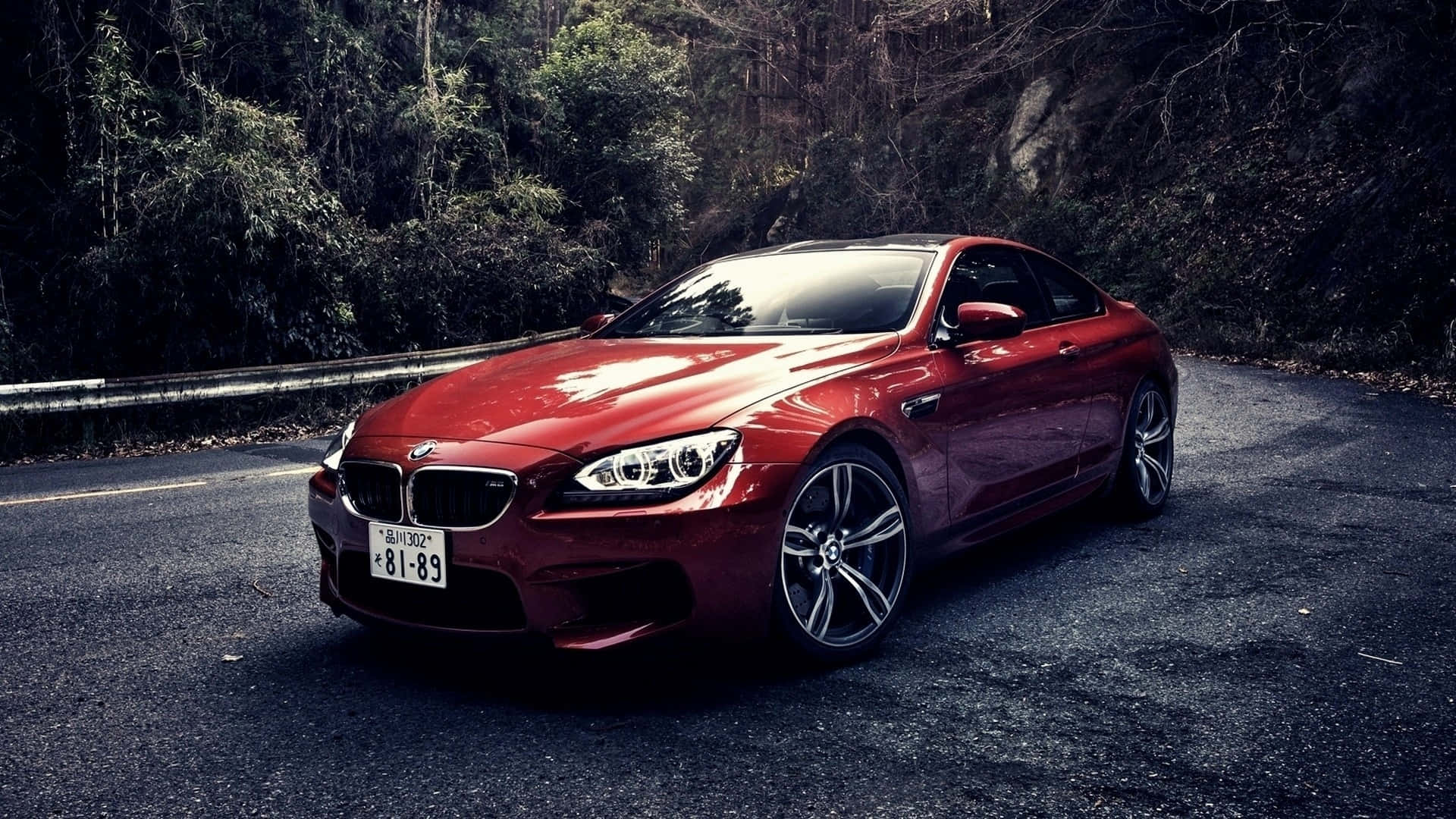 BMW Baggrund Vej Mellem Skov Wallpapers
