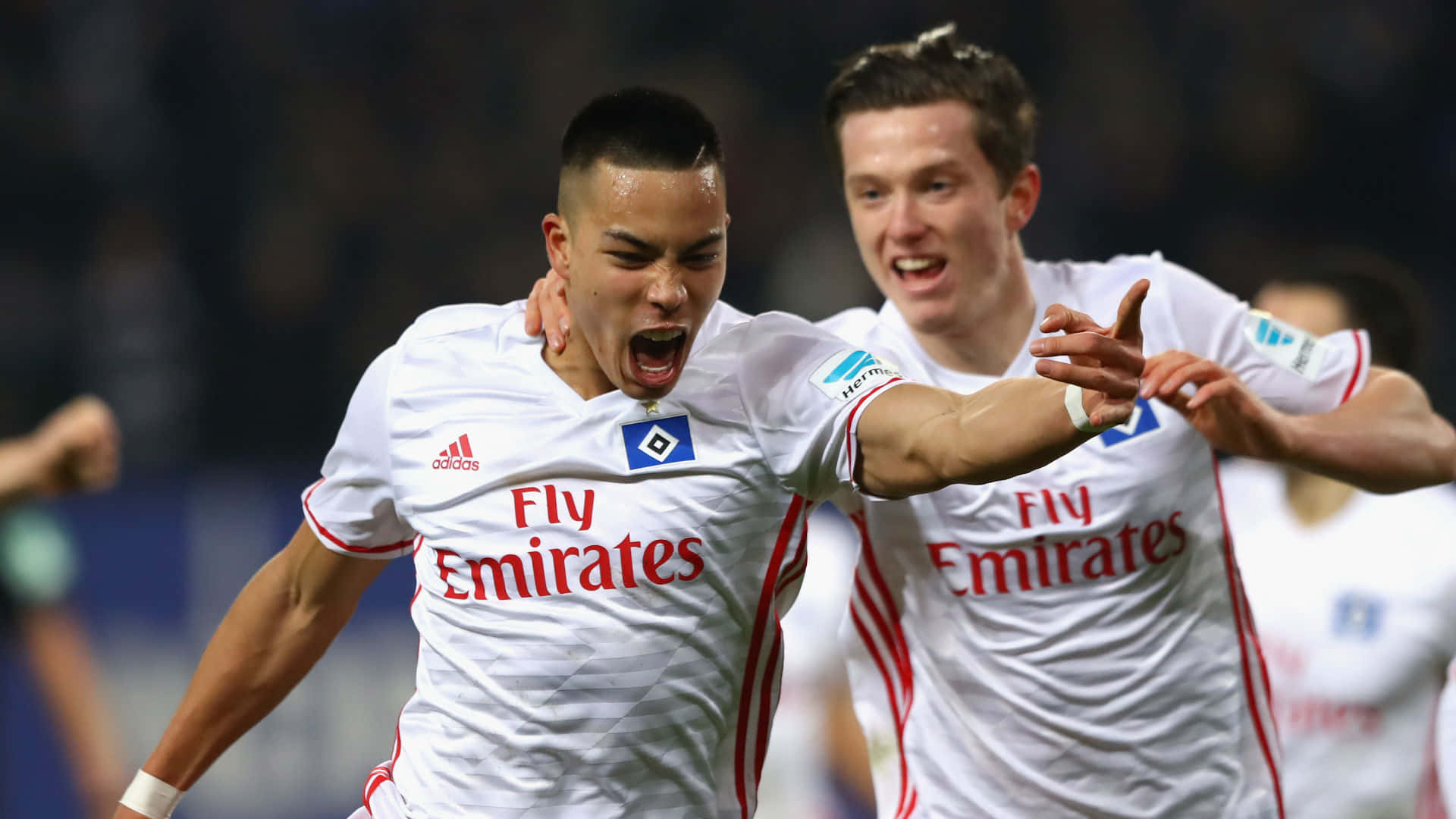 Bobby Wood og Michael Gregoritsch under Bundesliga-kamp Wallpapers