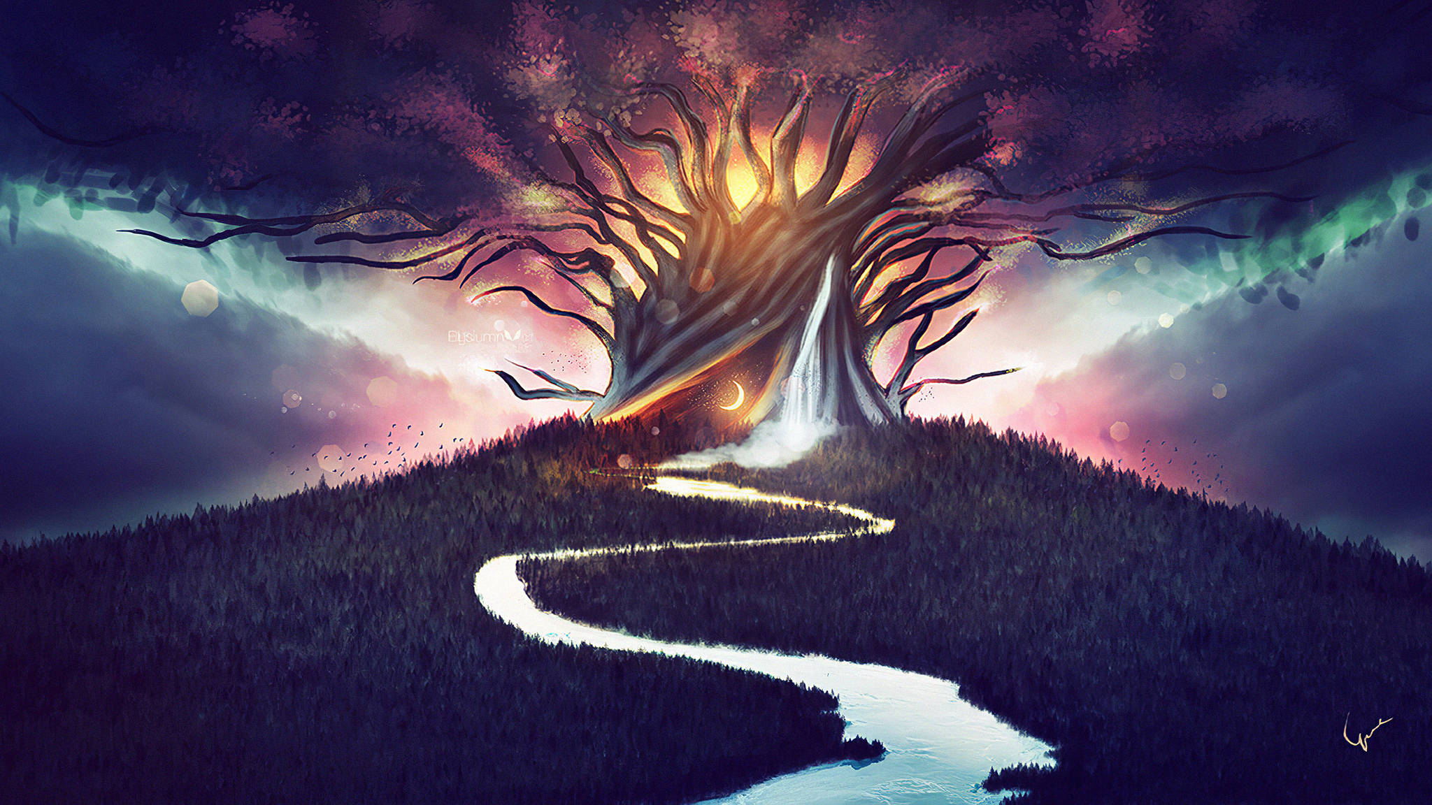 Bønnetræ spirituel æstetik Wallpapers