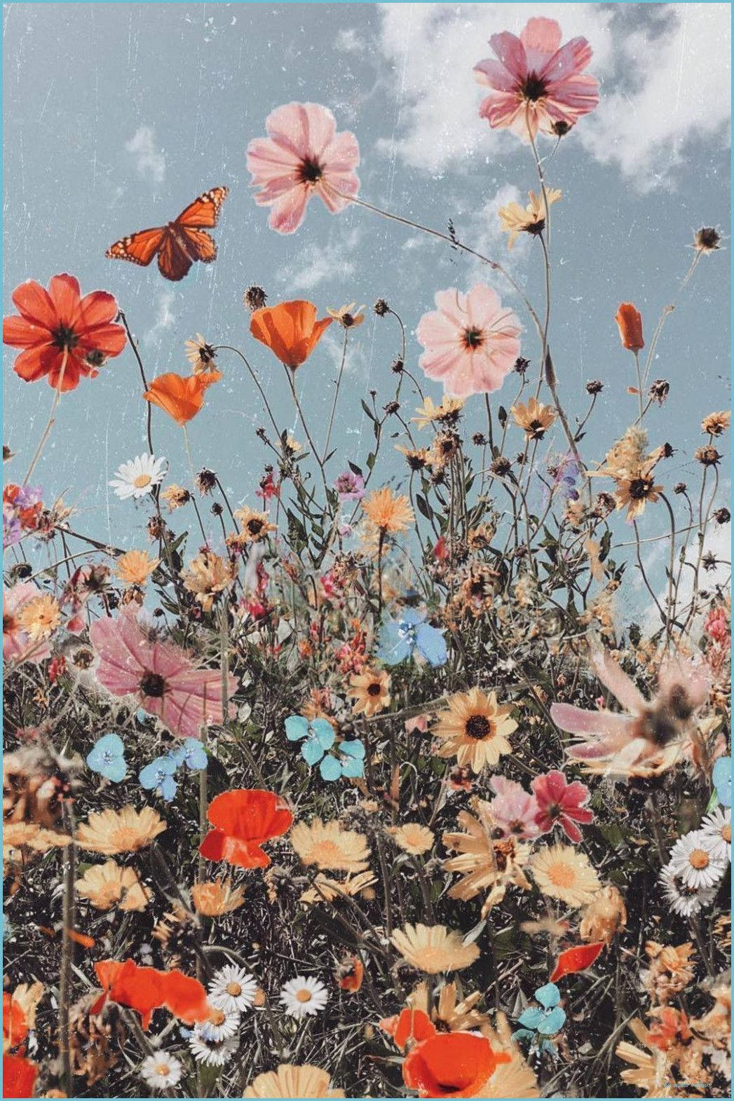 Boho æstetiske blomster Wallpapers