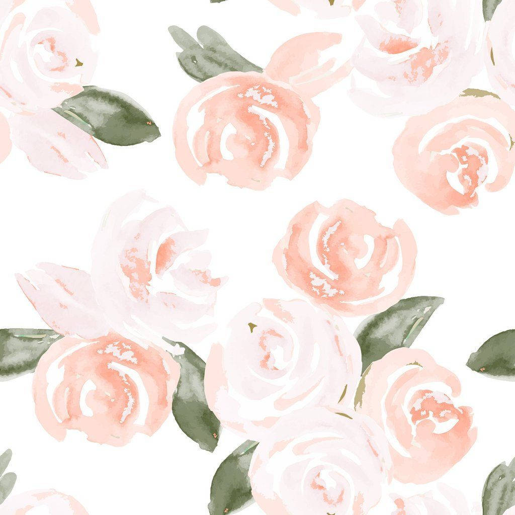 Boho æstetiske lyserøde akvarelroser Wallpapers