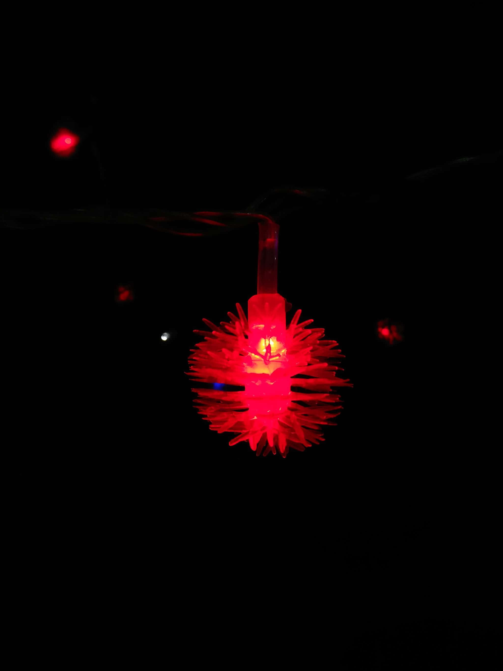 Bomuldsblomster i en have Wallpapers