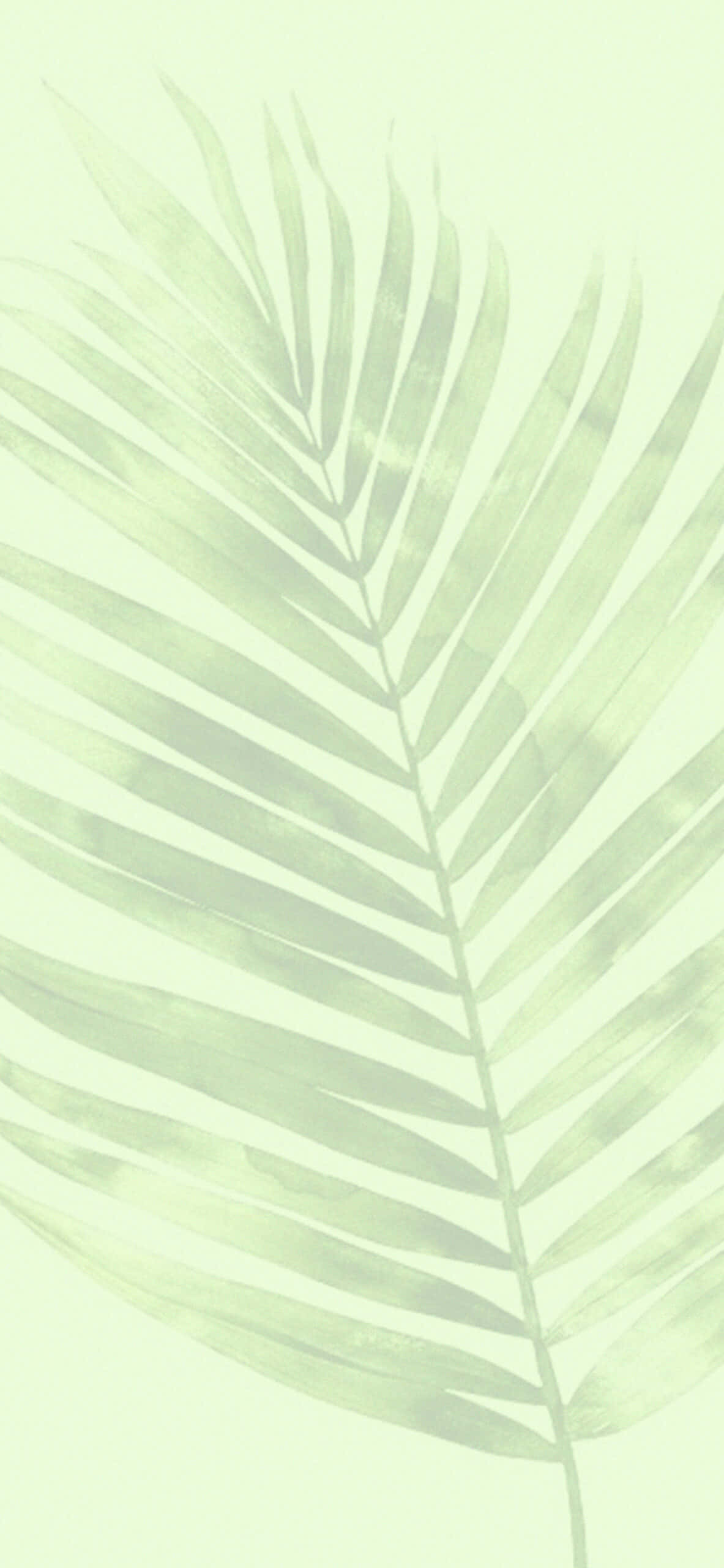 Bring et pust af frisk luft ind i dit rum med grøn æstetik Wallpapers