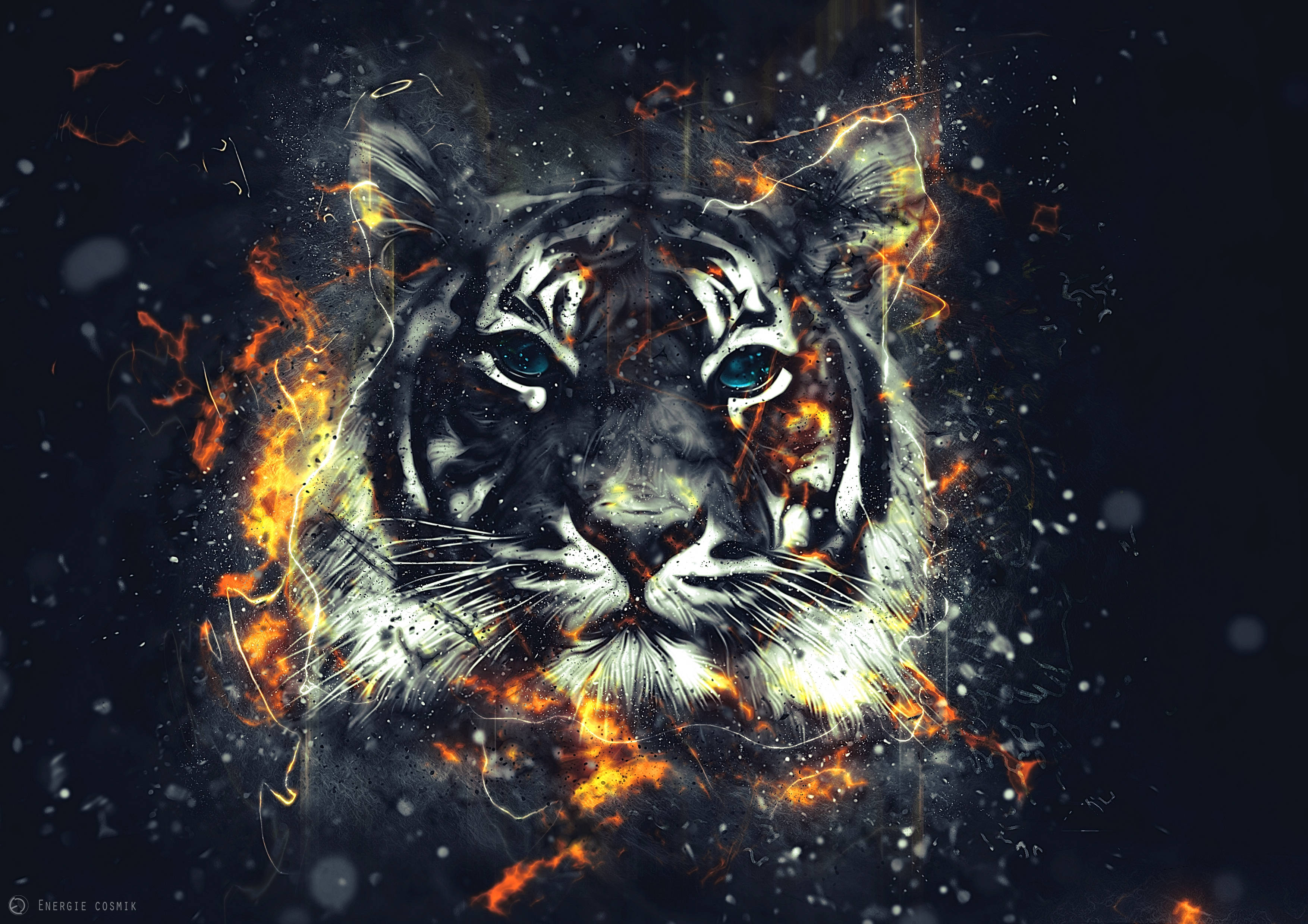 Brølende Tiger i Flammer Wallpapers