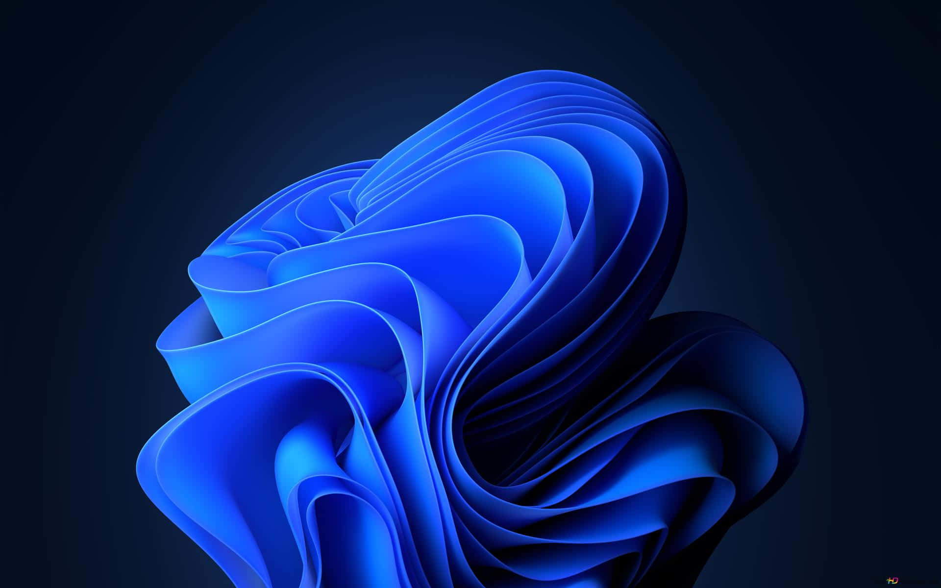 Brun bjørn, der gumler på en træstamme Wallpapers