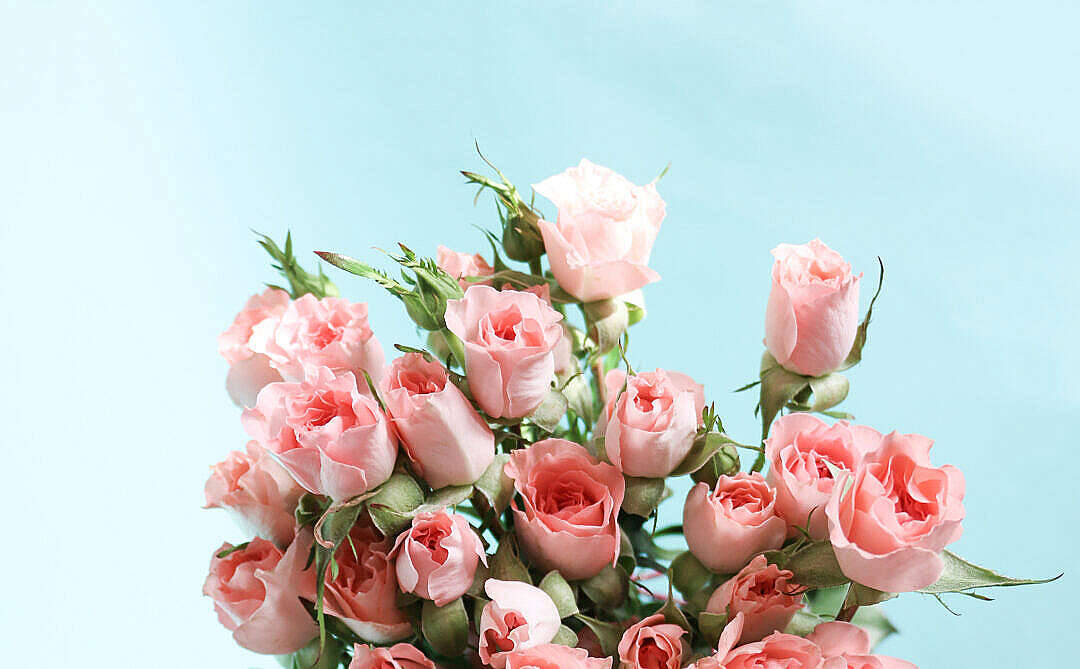 Buket af blomster i pastelrosa æstetik Wallpapers