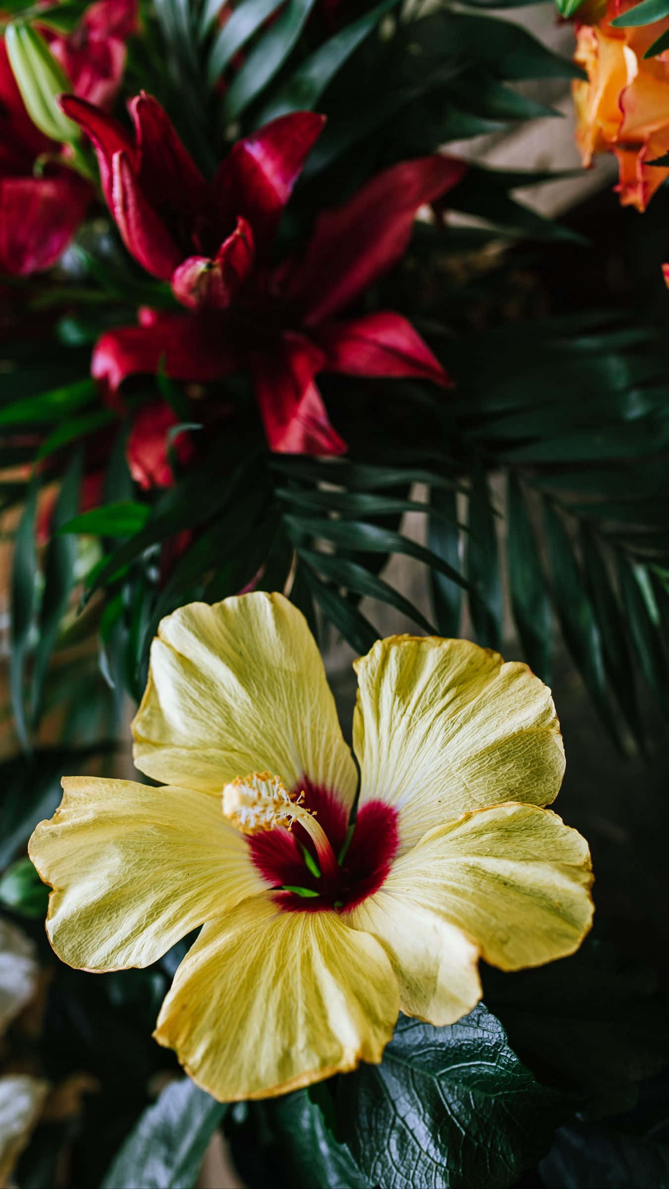 Buket af gule hibiscusblomster Wallpapers