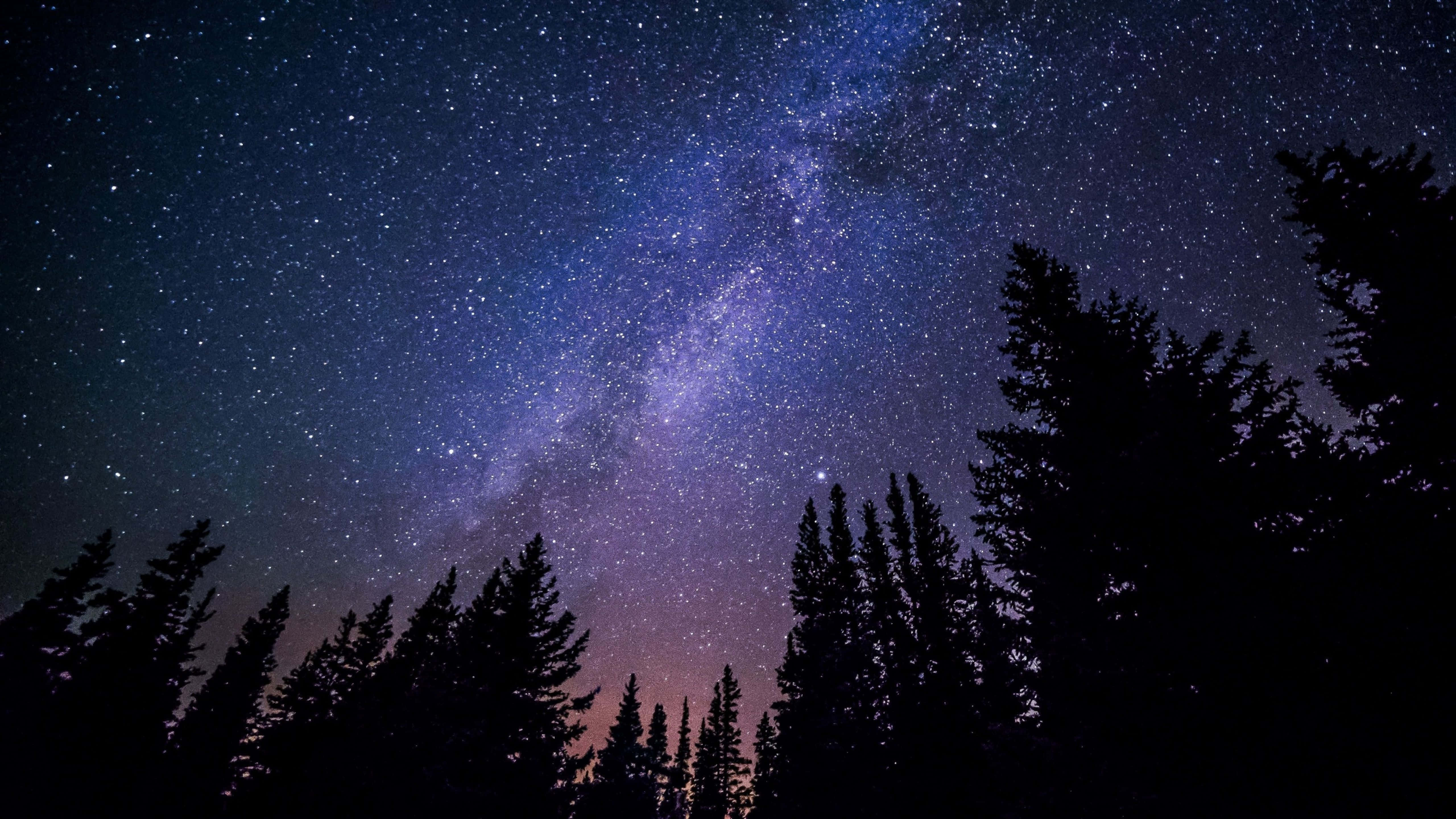 Byens skyline oplyst mod en nattehimmel Wallpapers