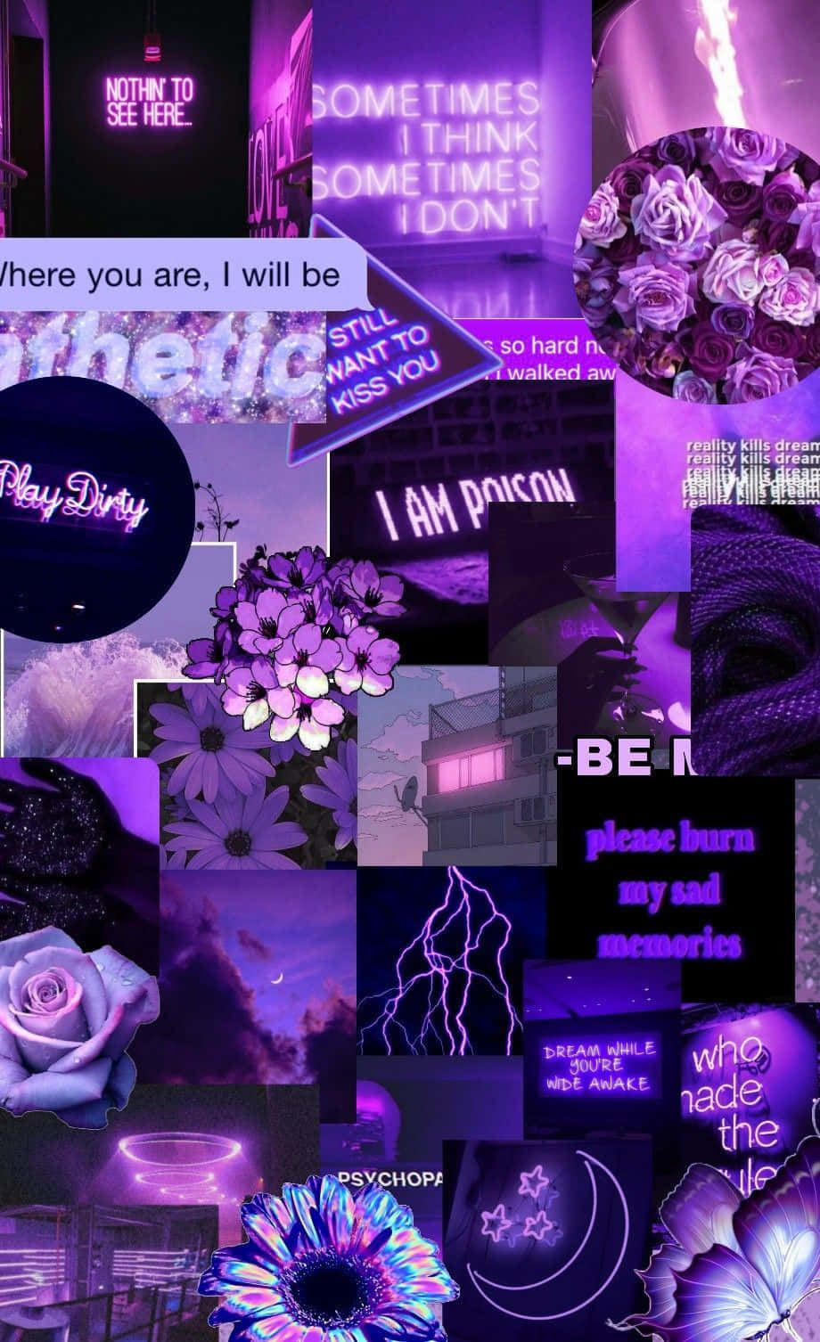Cali's fineste lilla badass med sassy looks Wallpapers