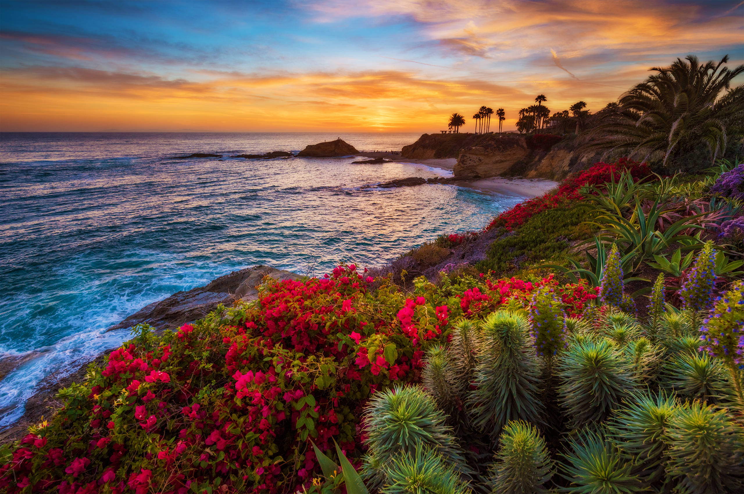 Californien havudsigt Wallpapers