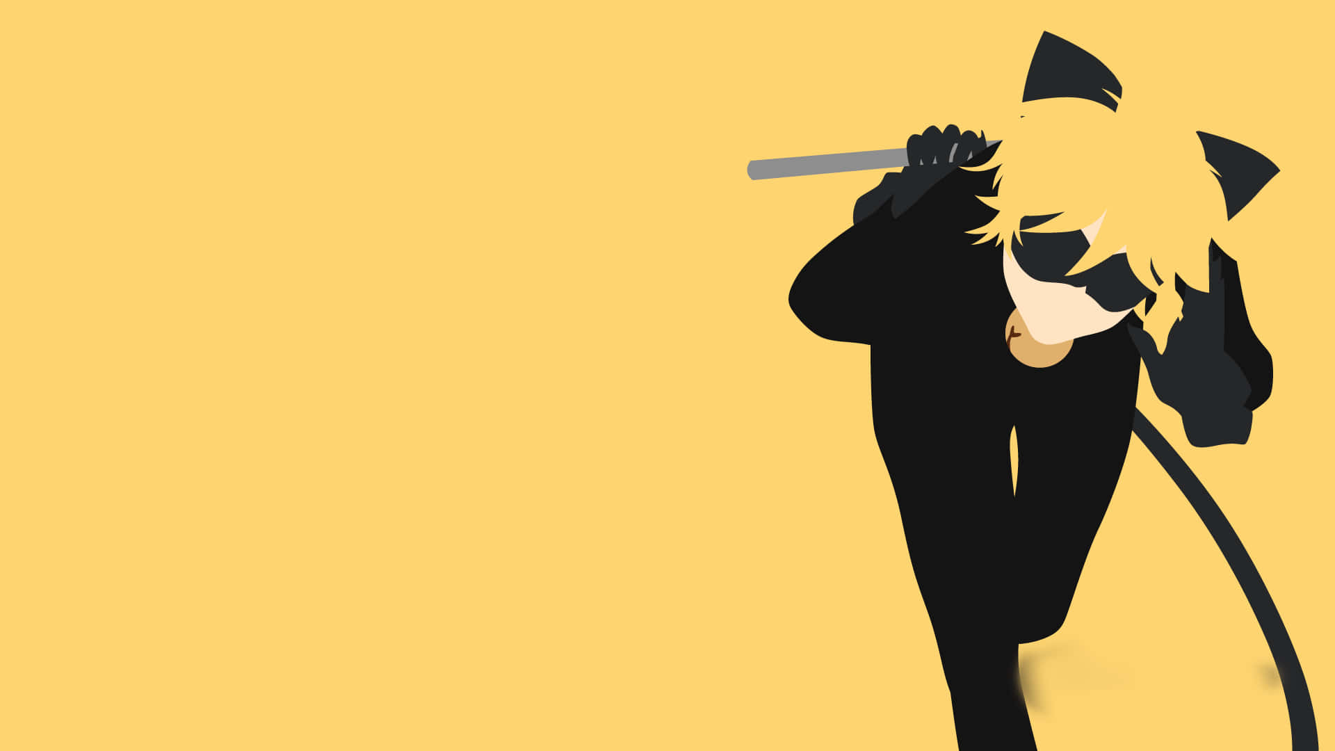 Cat Noir er klar til eventyr Wallpapers