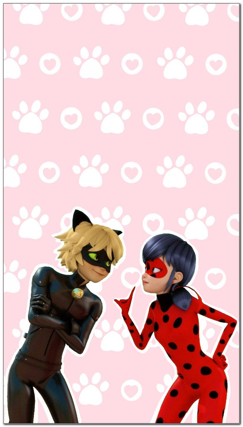 Cat Noir Poter og Hjerte Wallpapers