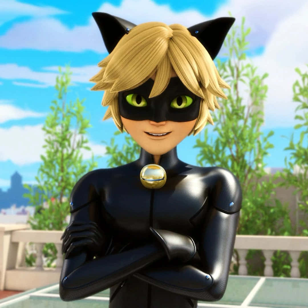 Cat Noir - Vagthunden Wallpapers