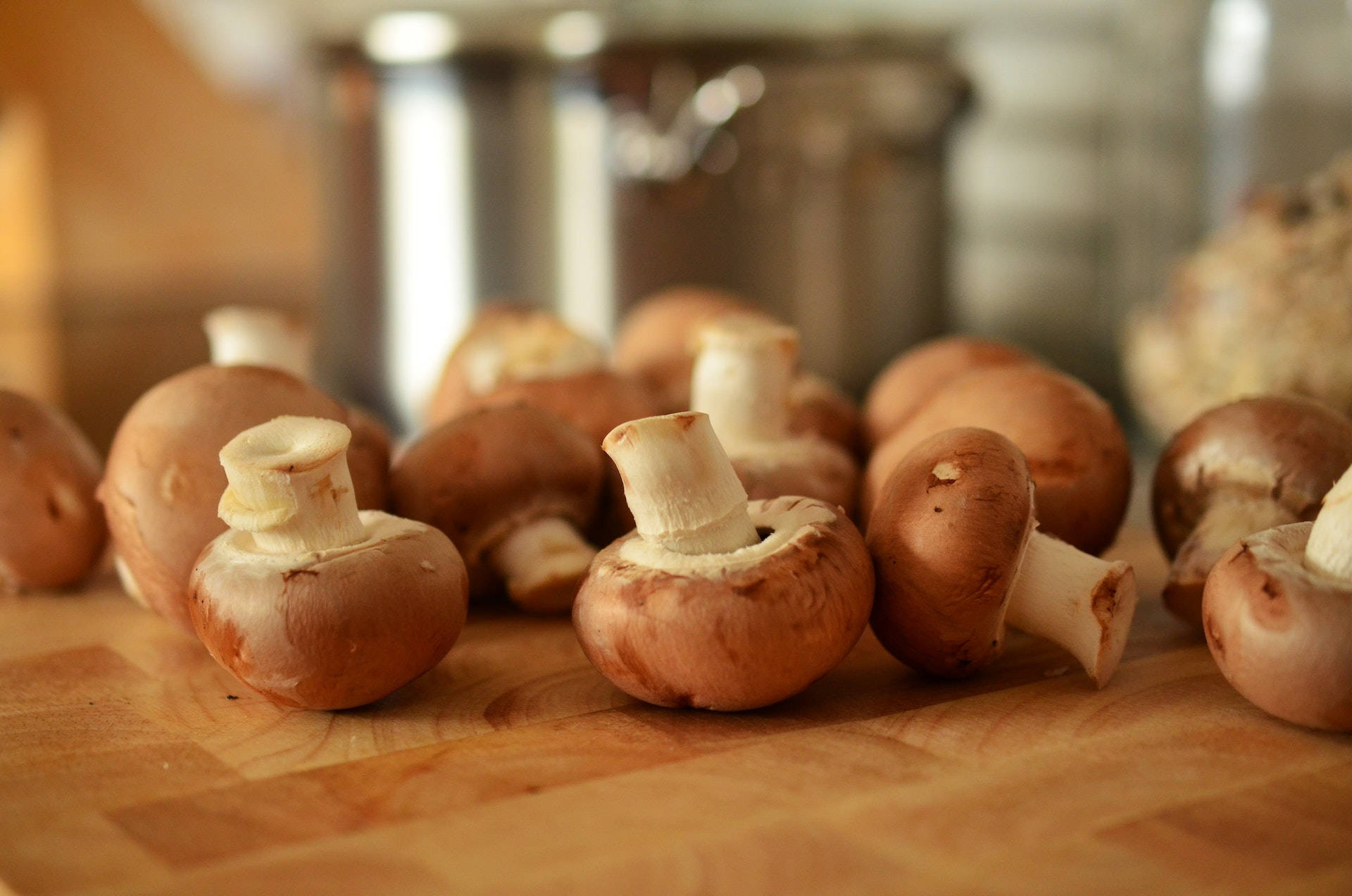 Champignon æstetik Wallpapers
