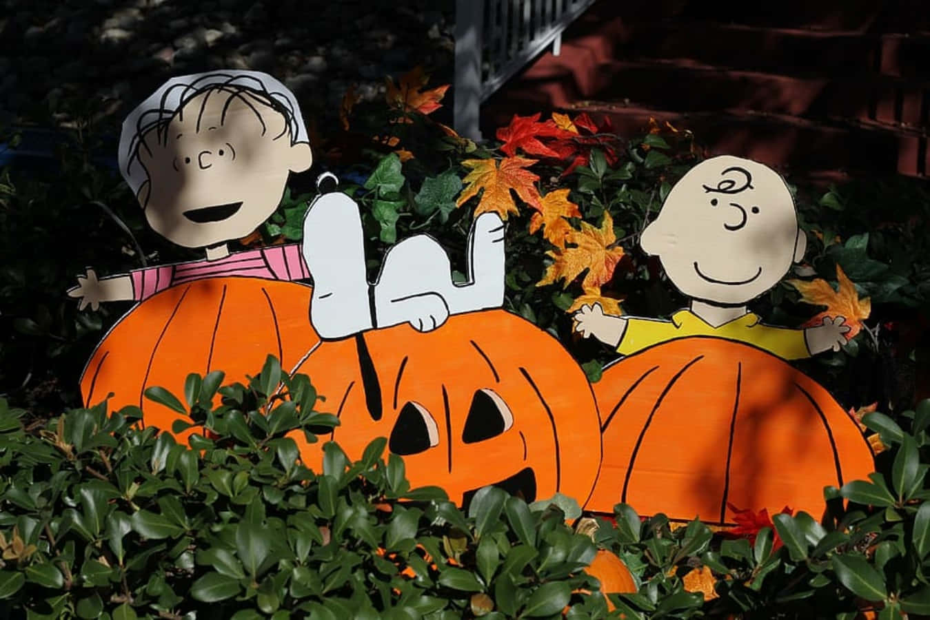 Charlie Brown Halloween billeder Wallpapers