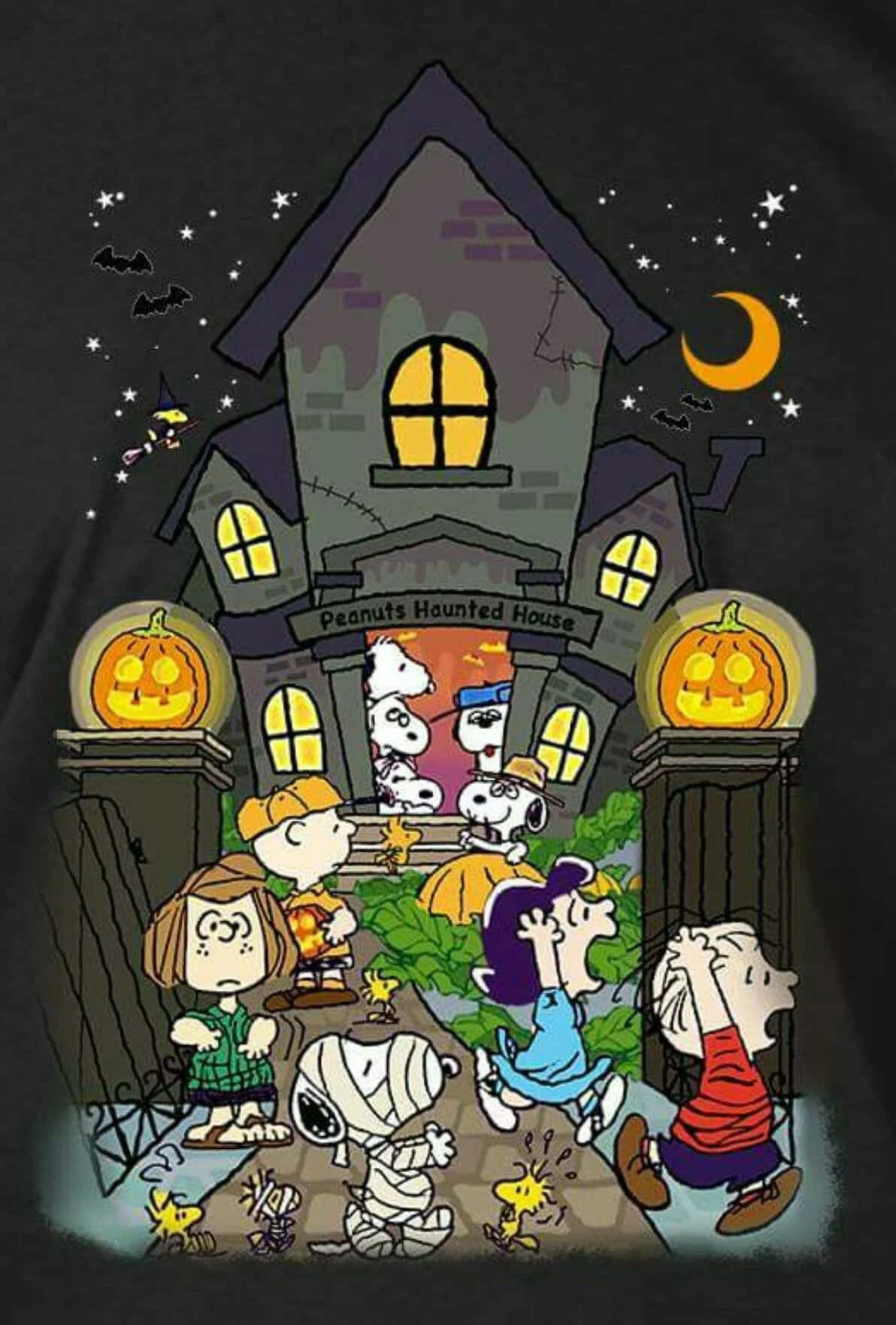 Charlie Brown Halloween billeder Wallpapers