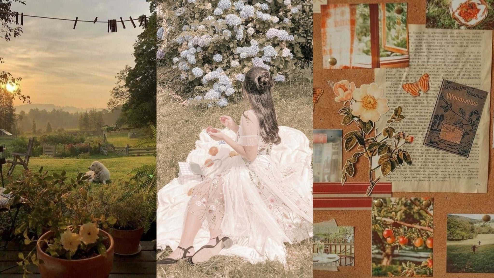 Charmerende Cottagecore-æstetik i en frodig have Wallpapers
