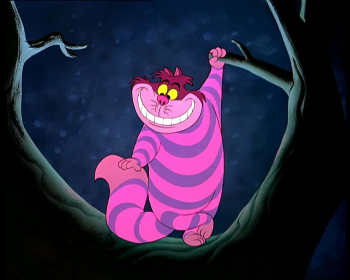 Cheshire-katten griner drillende Wallpapers