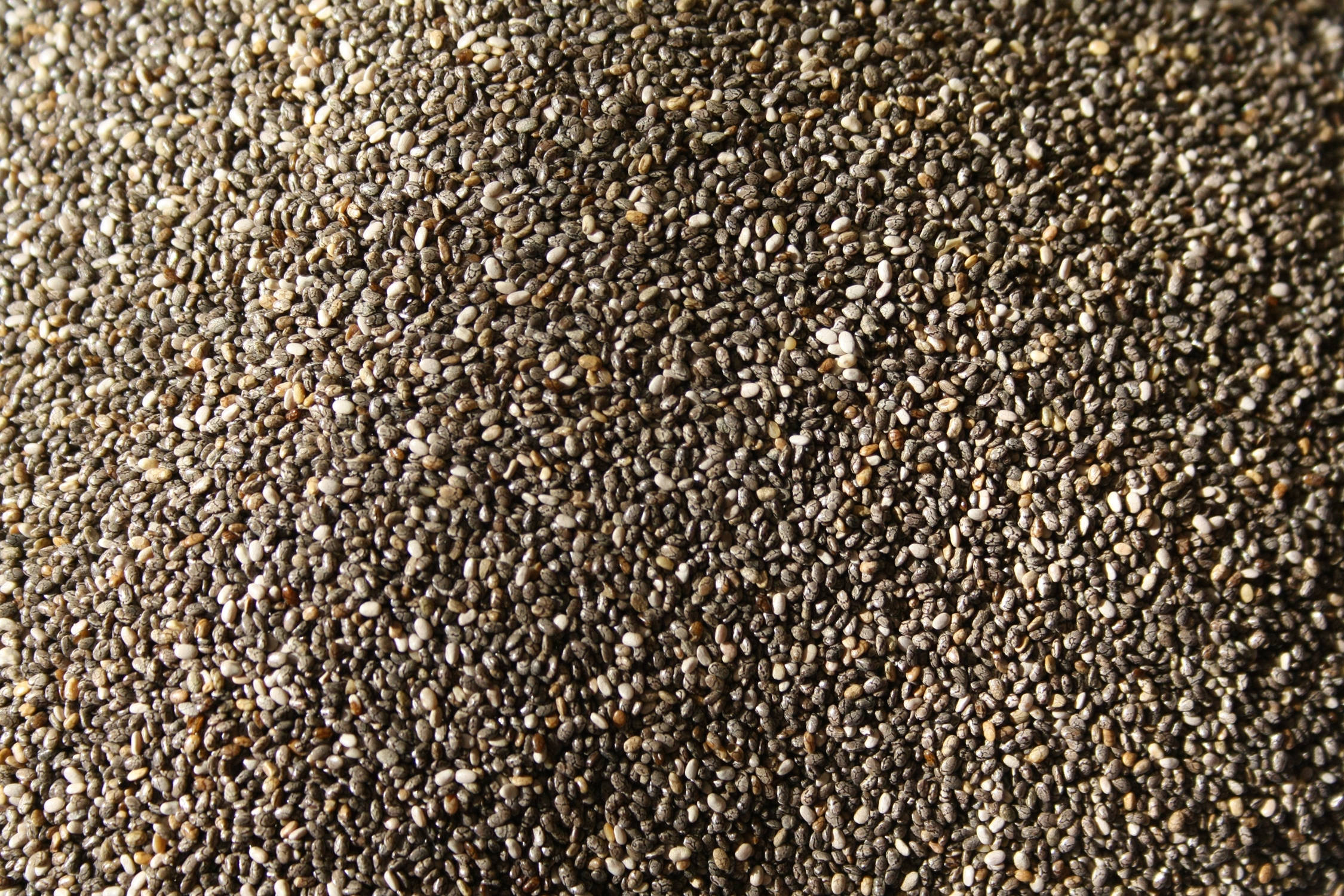 Chiafrø som sand Wallpapers