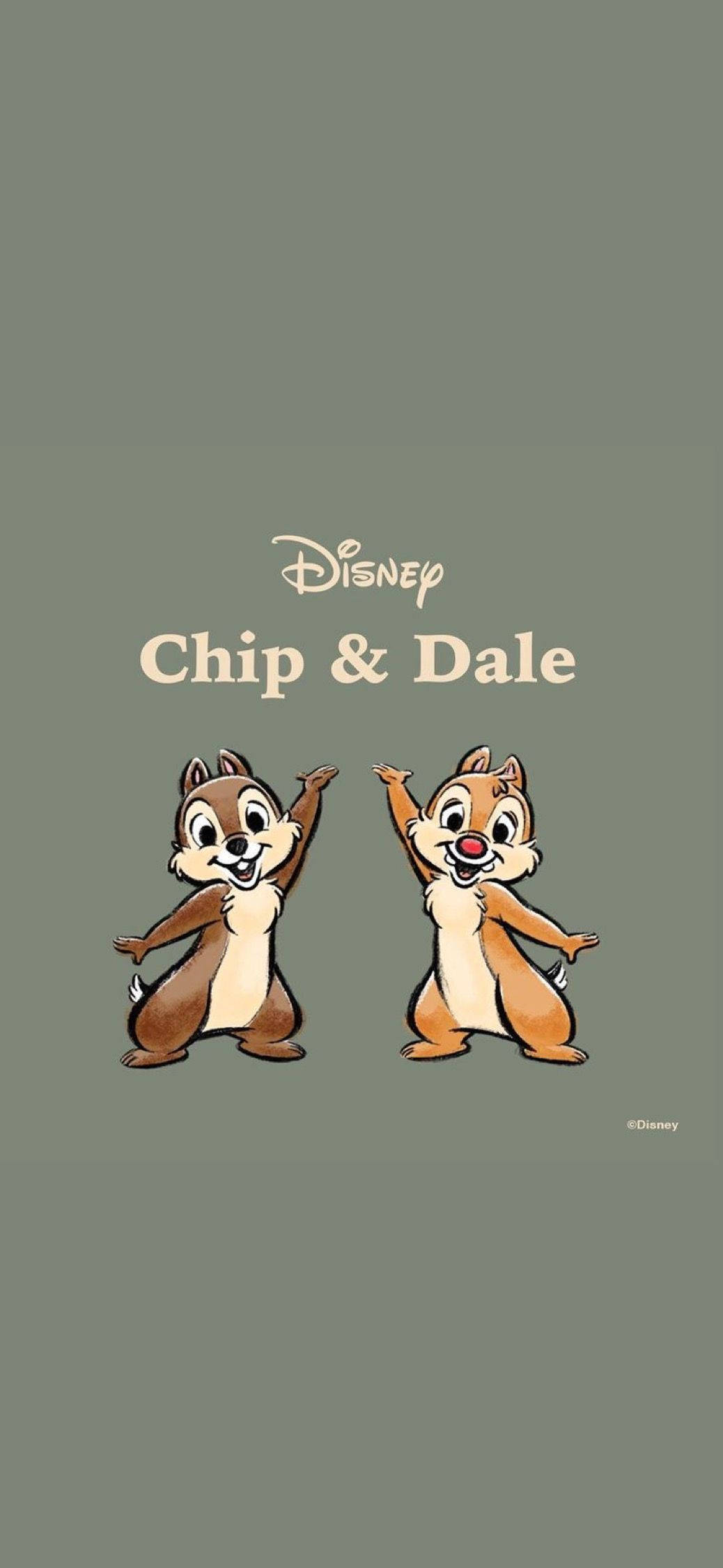 Chip N Dale på grå baggrund Wallpapers