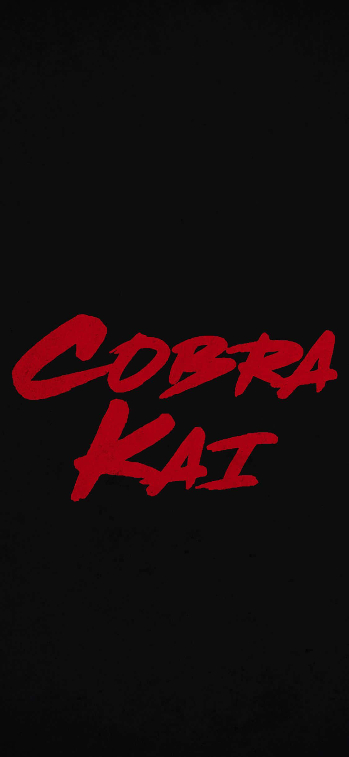 Cobra Kai iPhone XR Titelbaggrund Wallpapers