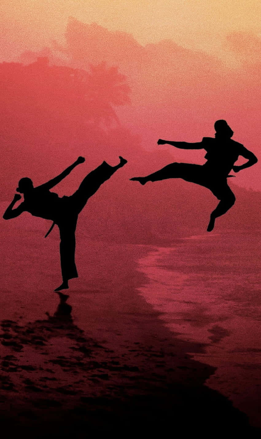 Cobra Kai iPhone Xr Kamp Silhuet Baggrund Wallpapers