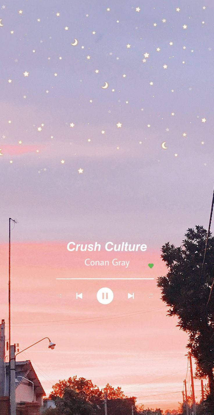 Conan Gray musikæstetik Wallpapers