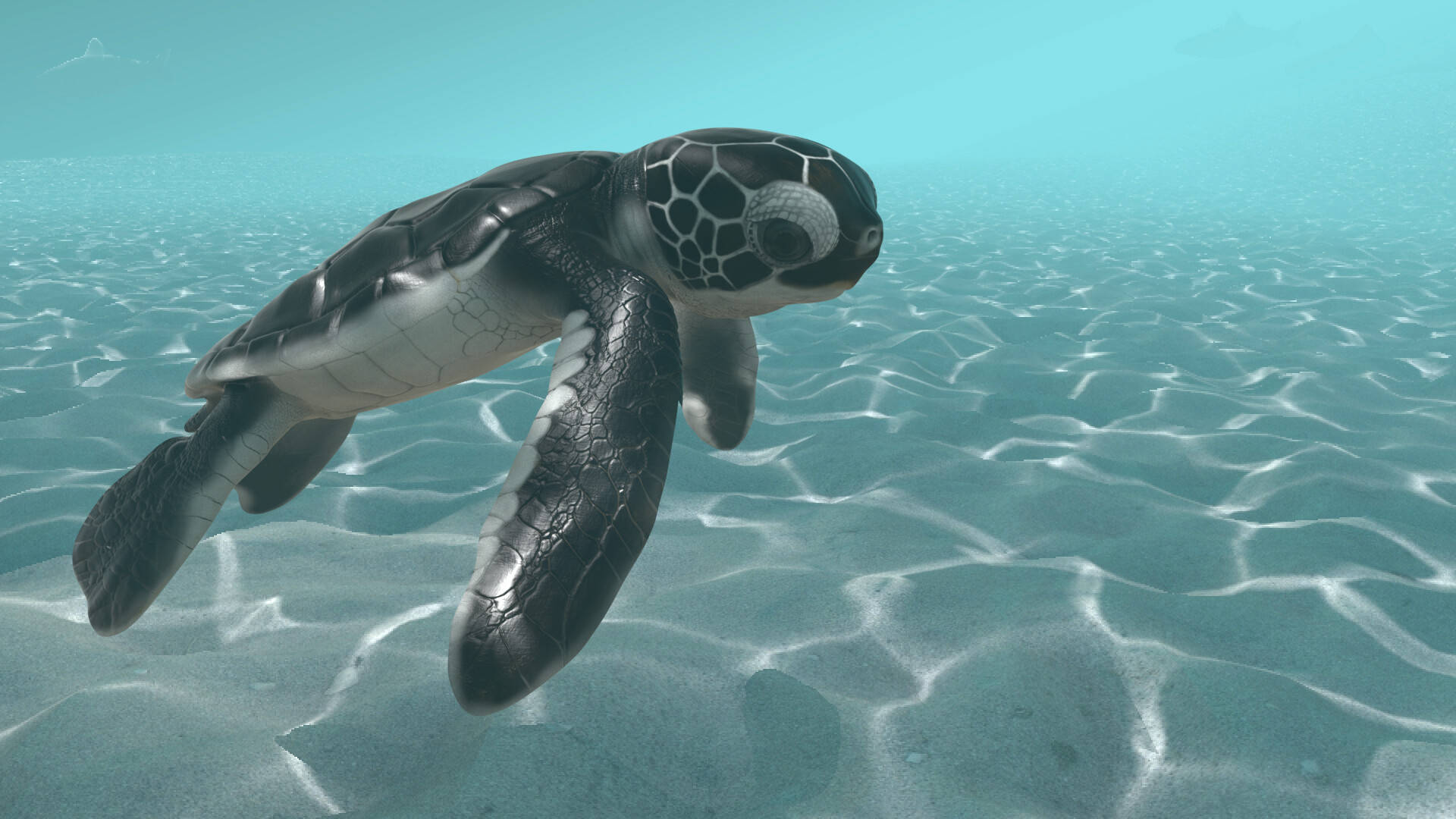 Cool baby-skildpadde under vandet Wallpapers