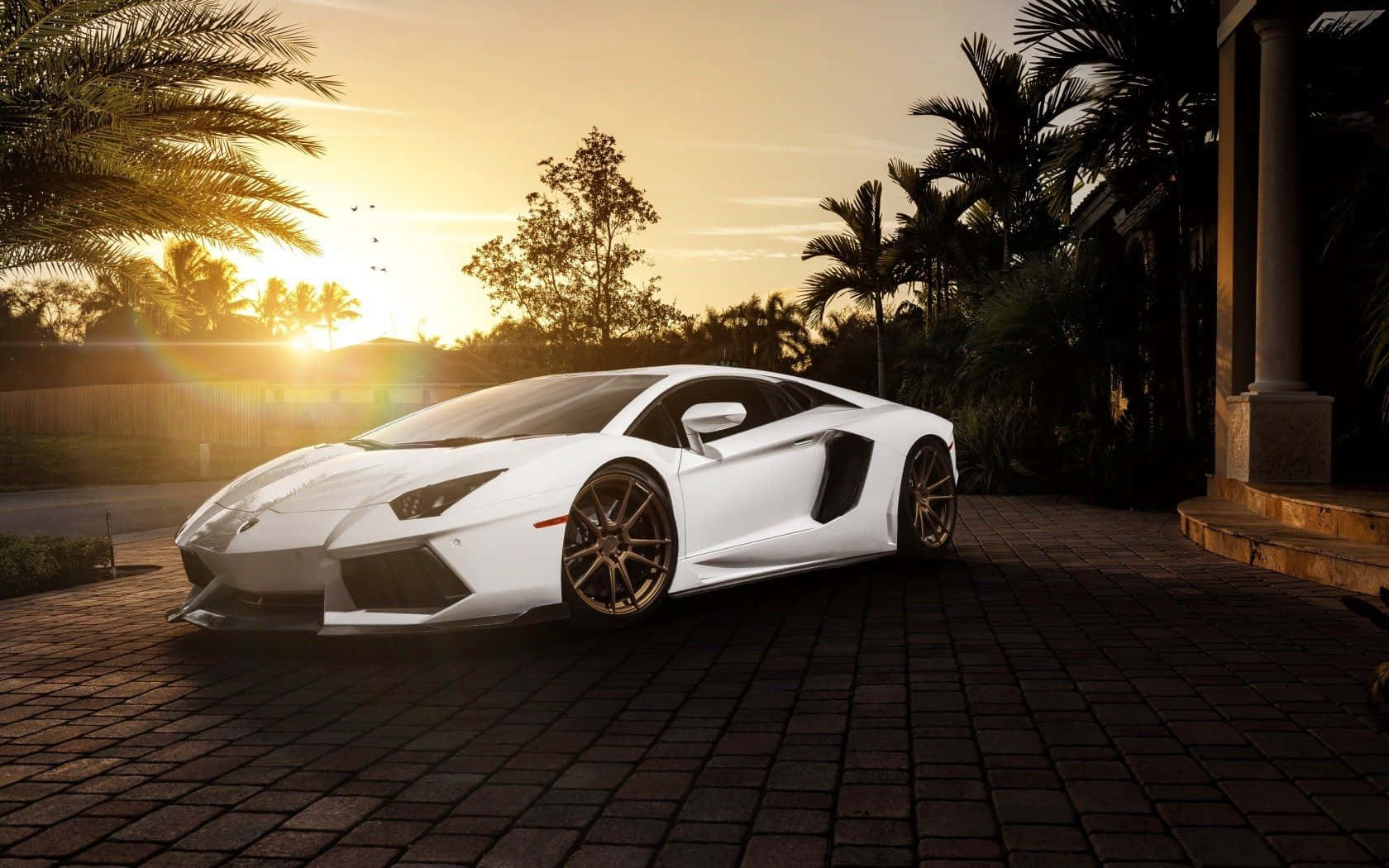 Cool hvid Lamborghini Aventador ved solnedgang Wallpapers