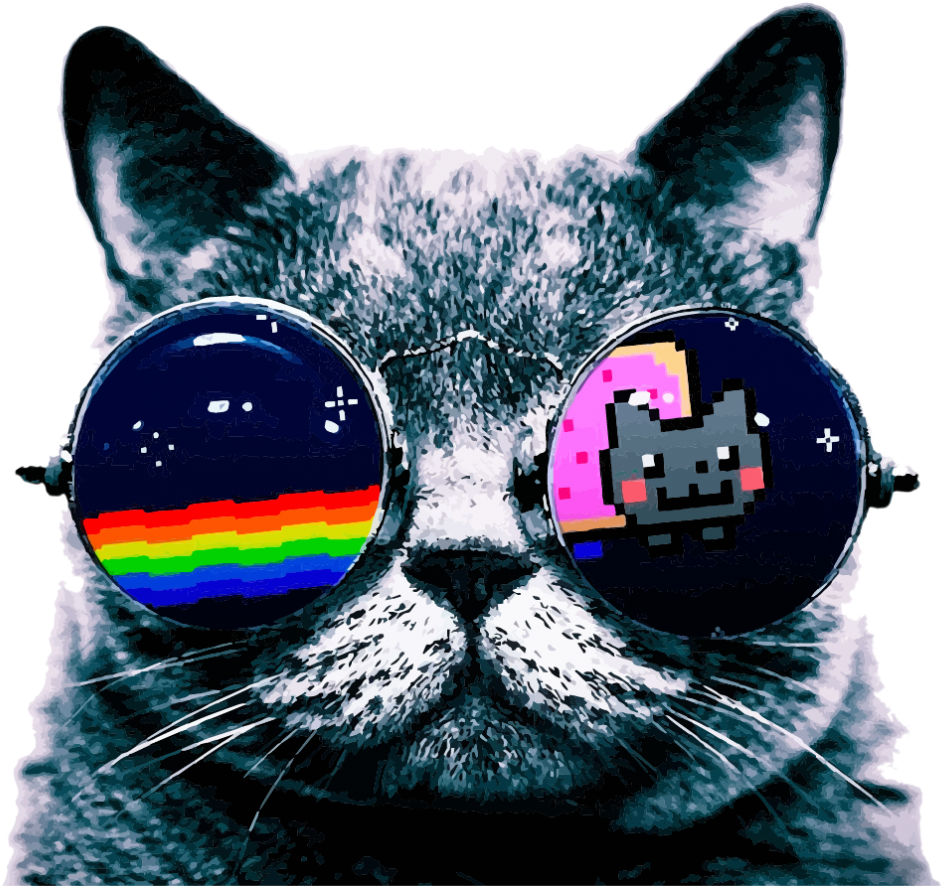 Cool kat med solbriller meme Wallpapers