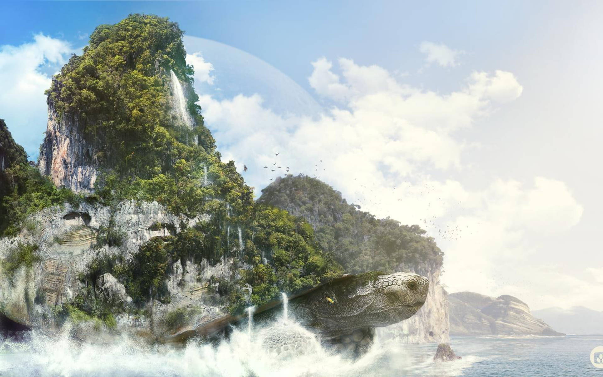Cool skildpadde der bærer en ø Wallpapers