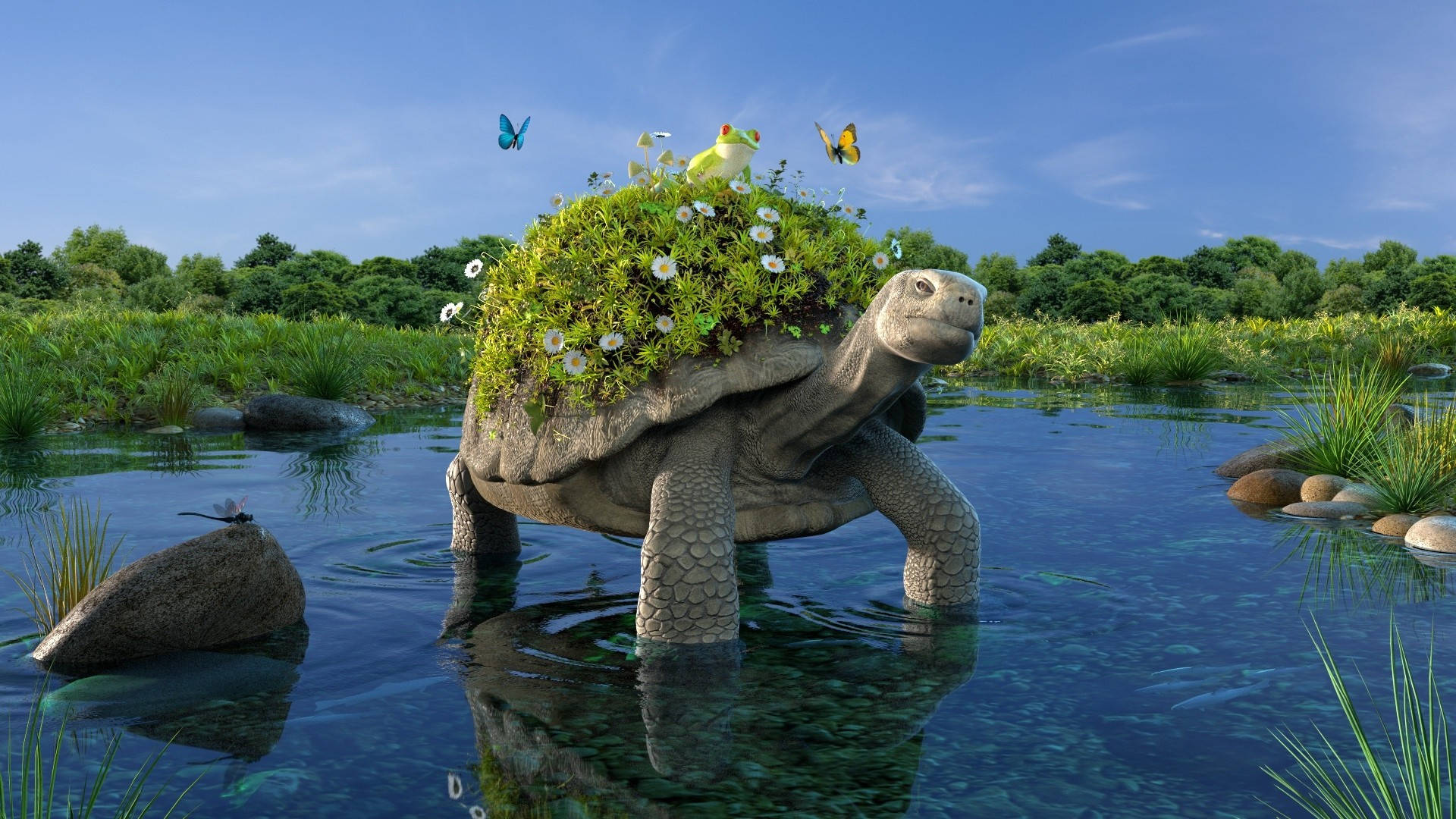 Cool skildpadde med blomsterskal Wallpapers