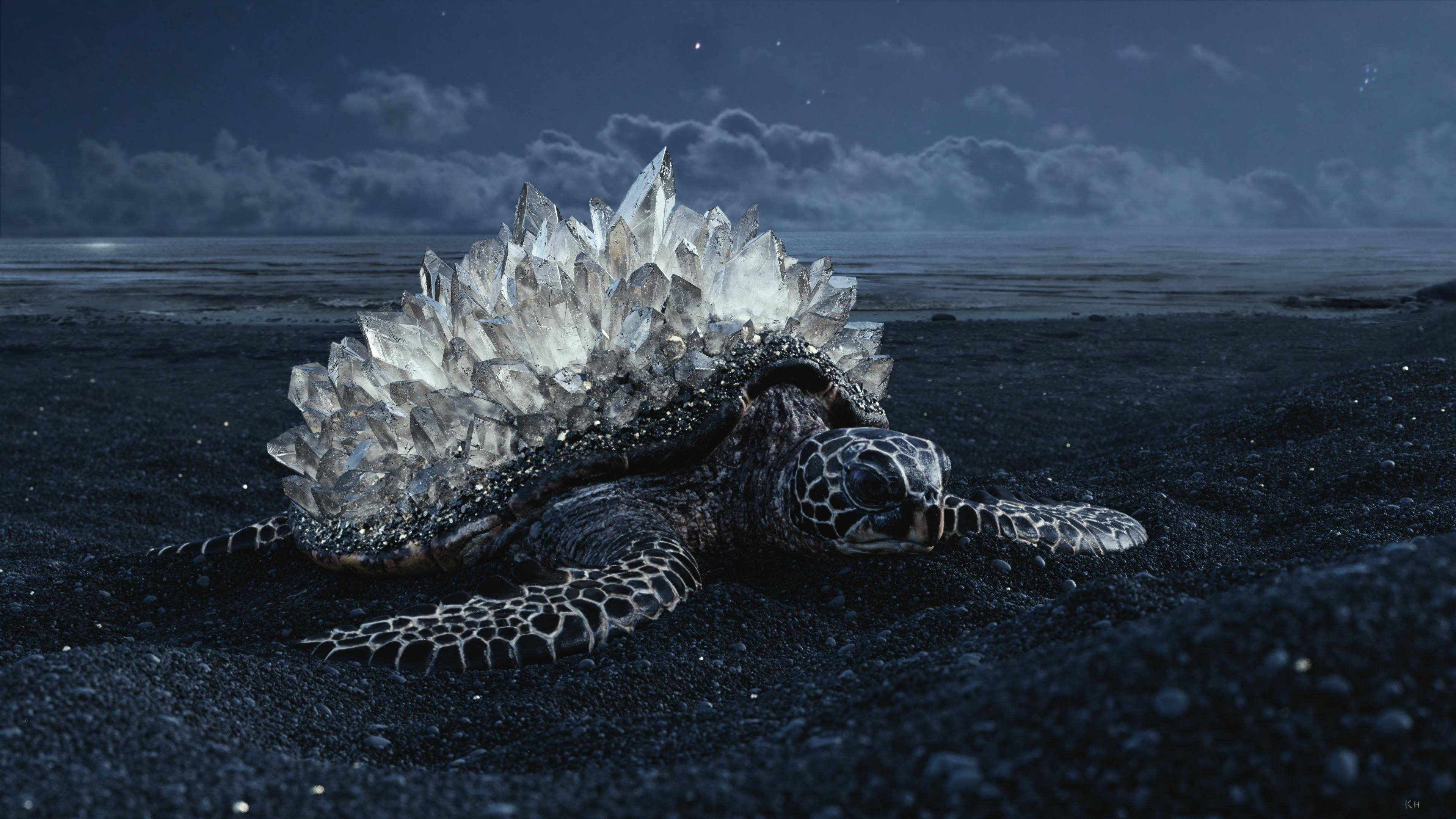 Cool skildpadde med krystalskal Wallpapers