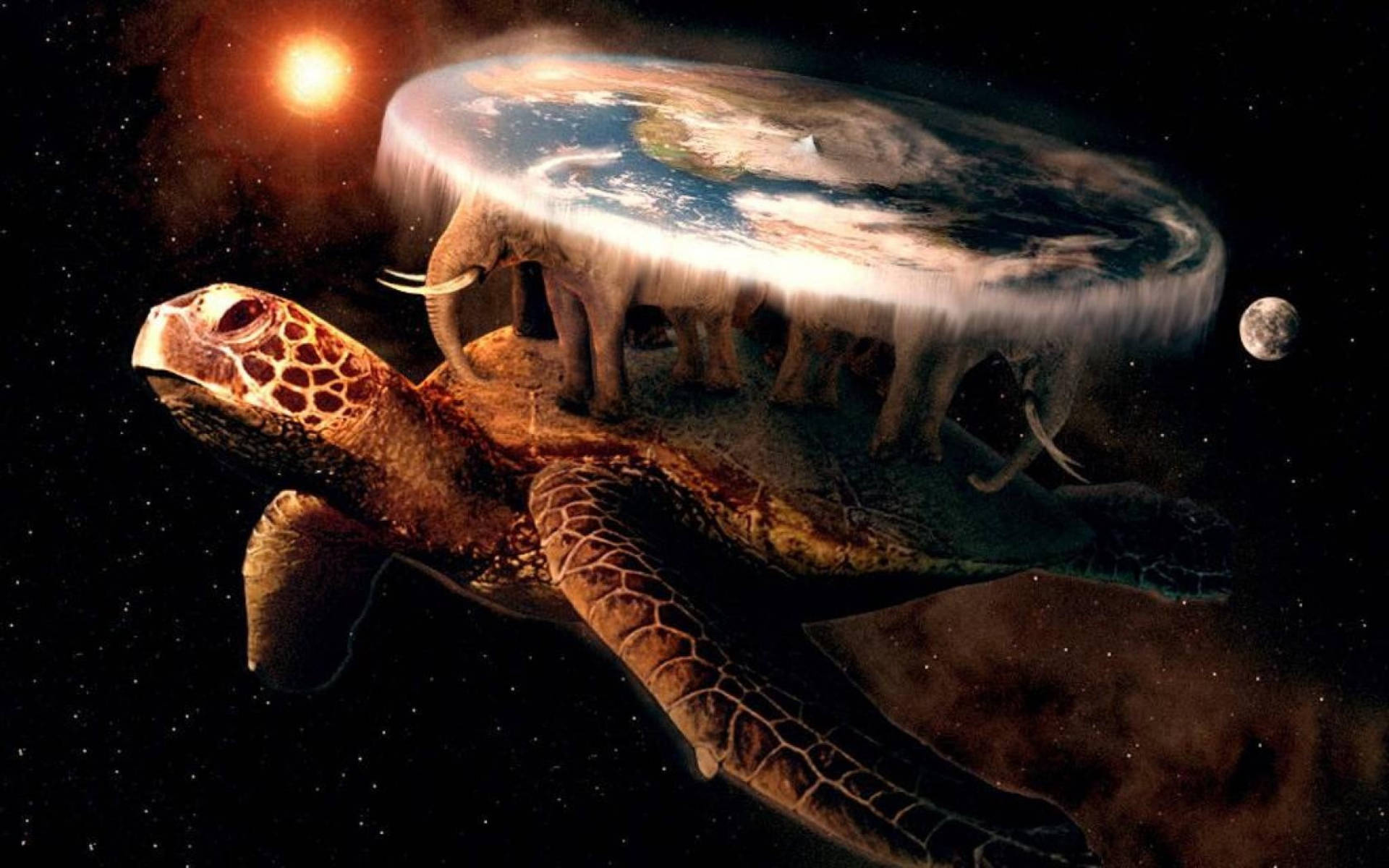 Cool skildpadde og flad jord Wallpapers