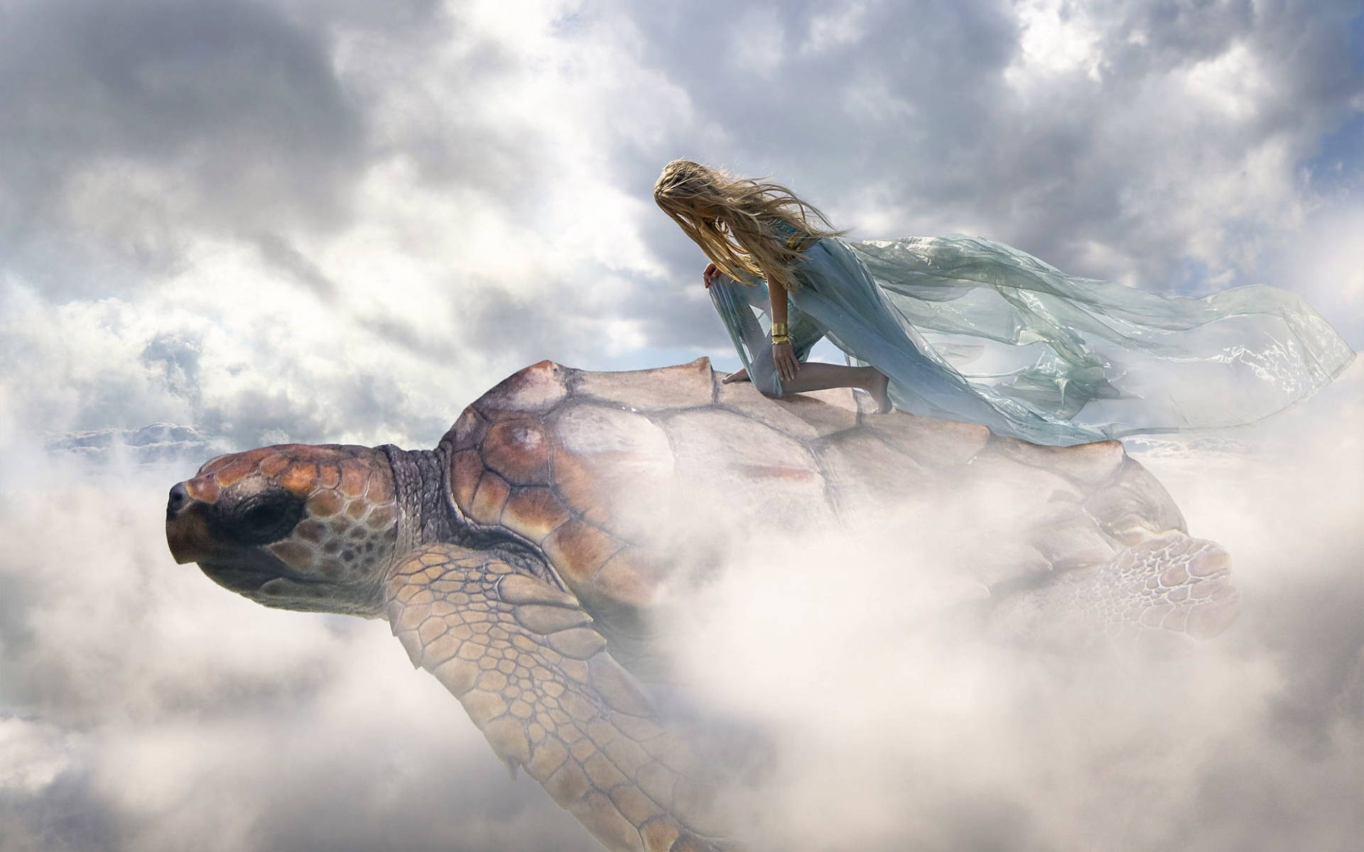 Cool skildpadde og kvinde Wallpapers