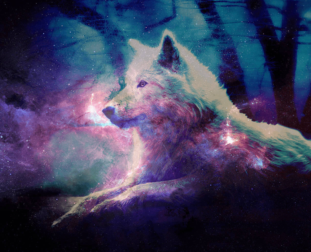 Cool stjernegalaksefilter på ulv Wallpapers