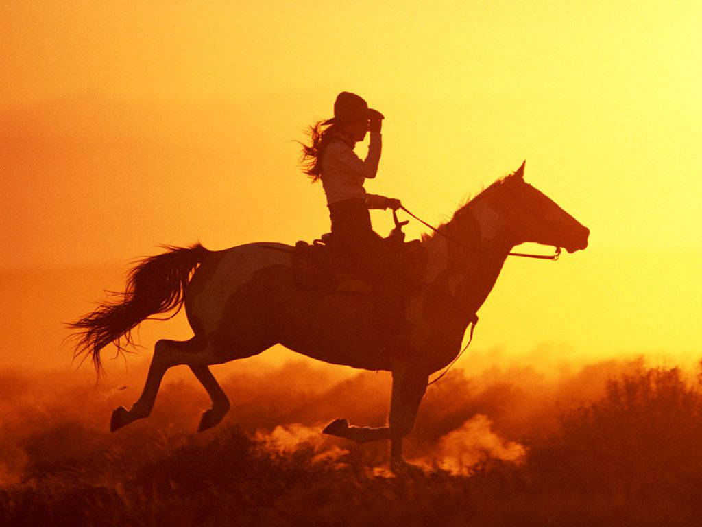 Country Western ridning mod solnedgang Wallpapers