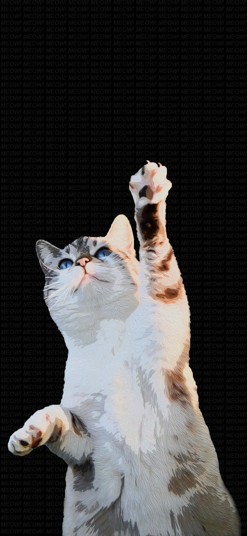 Dansende kat løfter poten.JPG Wallpapers