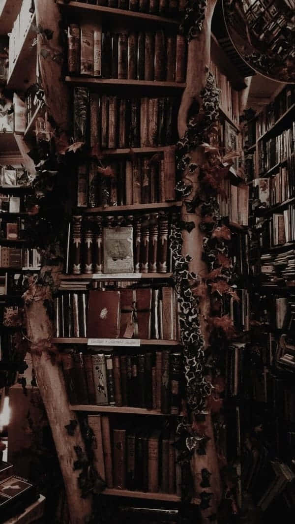 Dark Academia baggrund