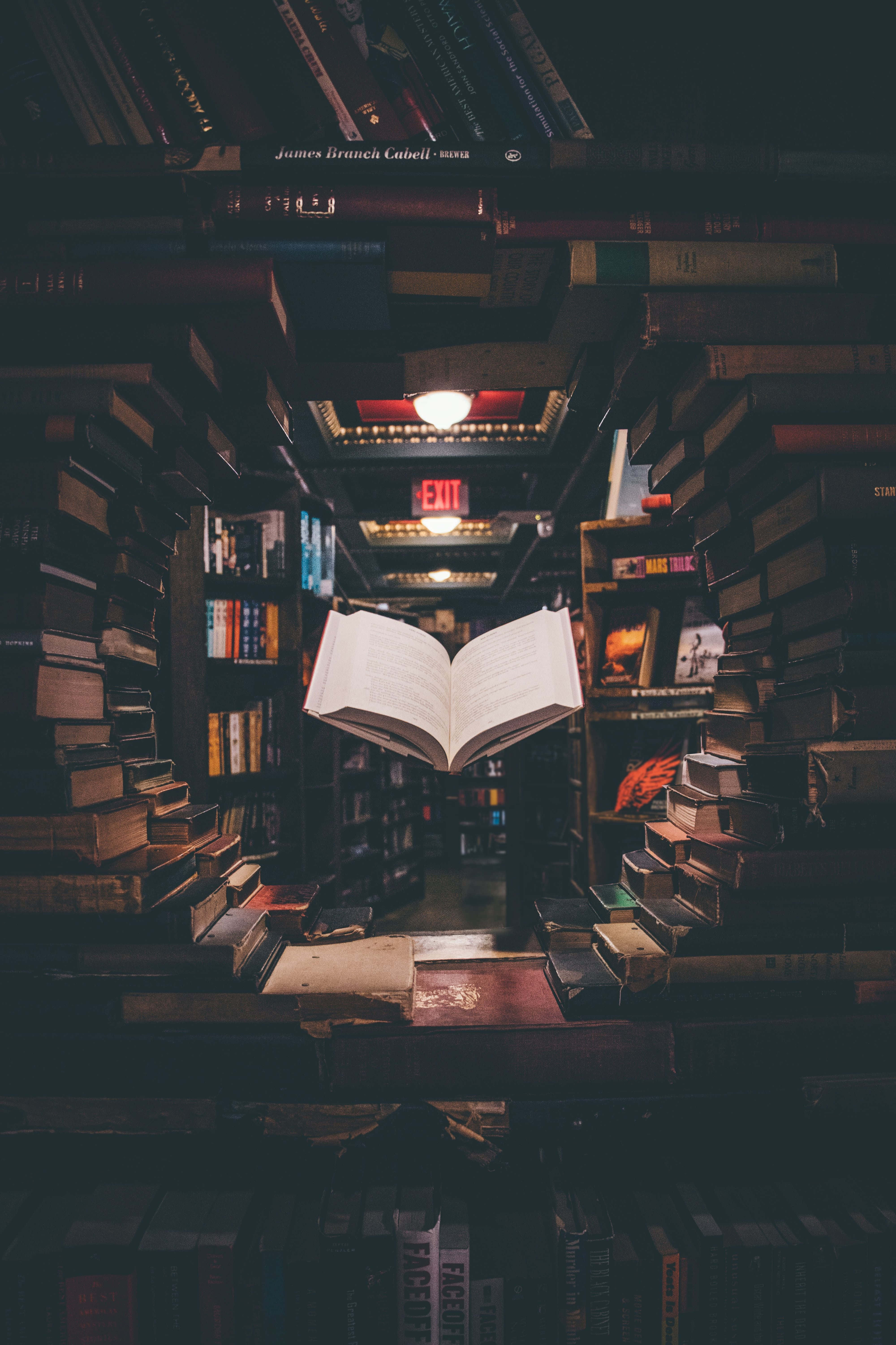 Dark Academia æstetik 4000 x 6000 baggrund Wallpapers